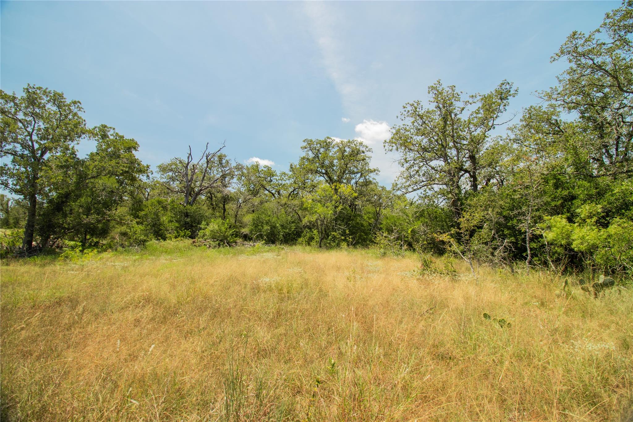 2564 Bluestem Crest Ln, Seguin, TX 78155