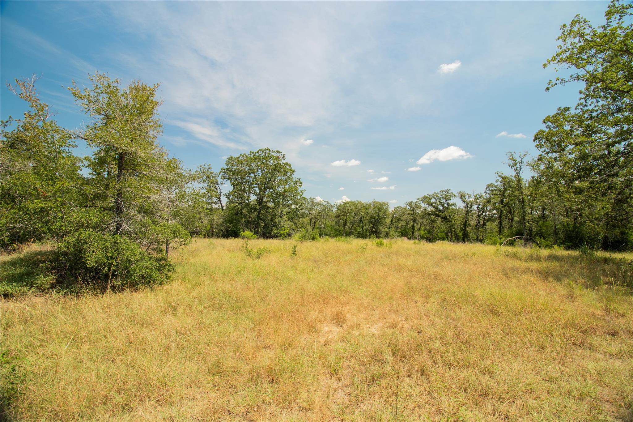 2564 Bluestem Crest Ln, Seguin, TX 78155