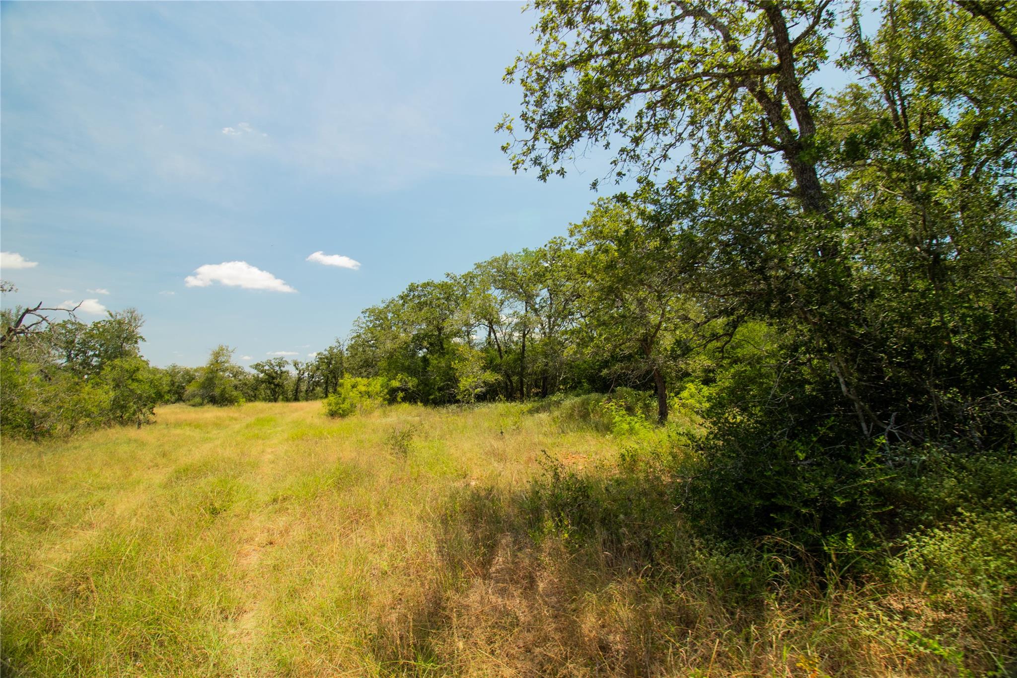 2564 Bluestem Crest Ln, Seguin, TX 78155