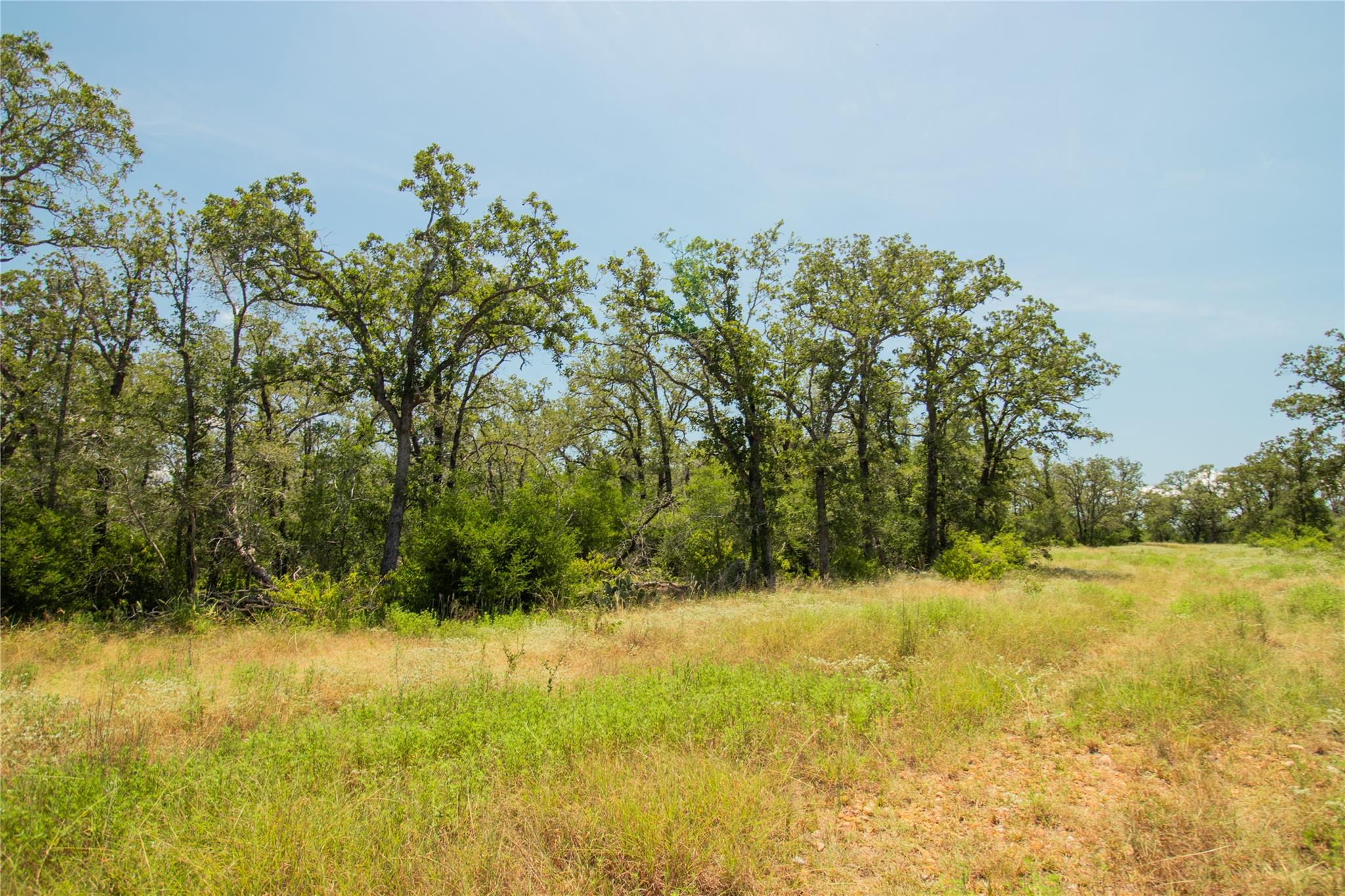 2564 Bluestem Crest Ln, Seguin, TX 78155