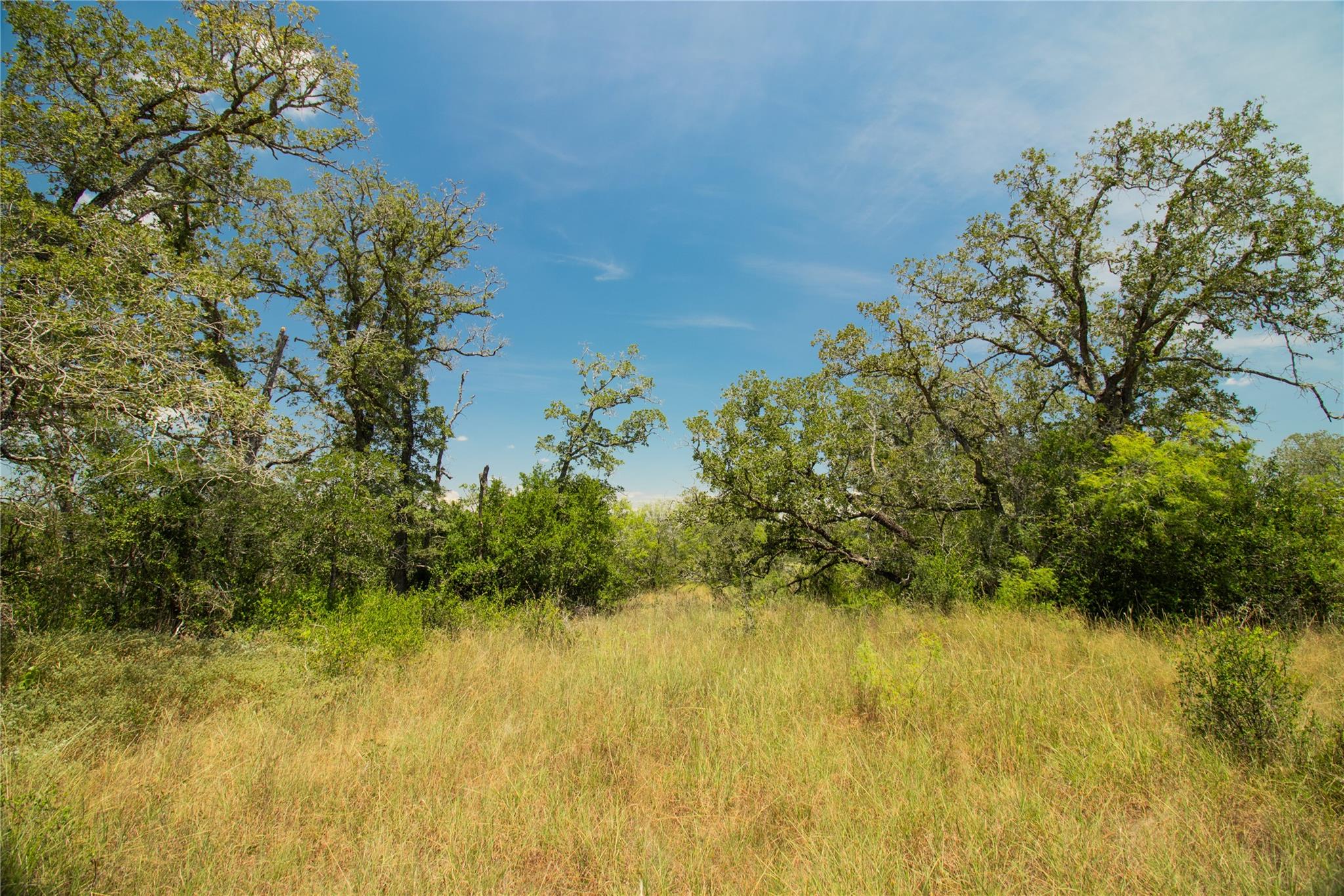 2564 Bluestem Crest Ln, Seguin, TX 78155