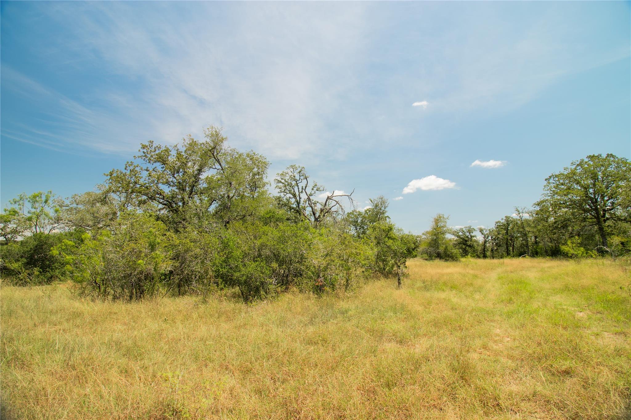 2564 Bluestem Crest Ln, Seguin, TX 78155