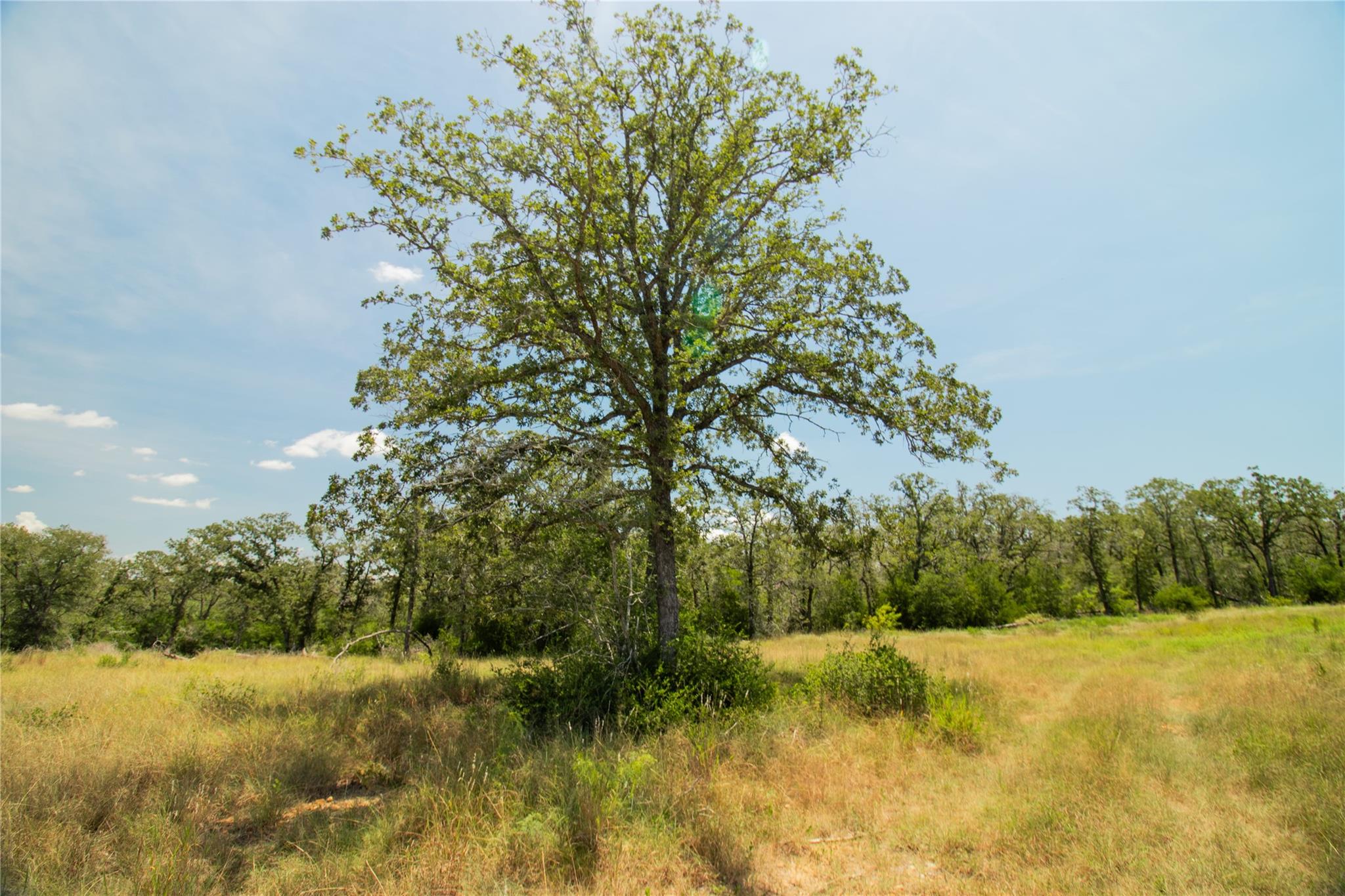 2564 Bluestem Crest Ln, Seguin, TX 78155