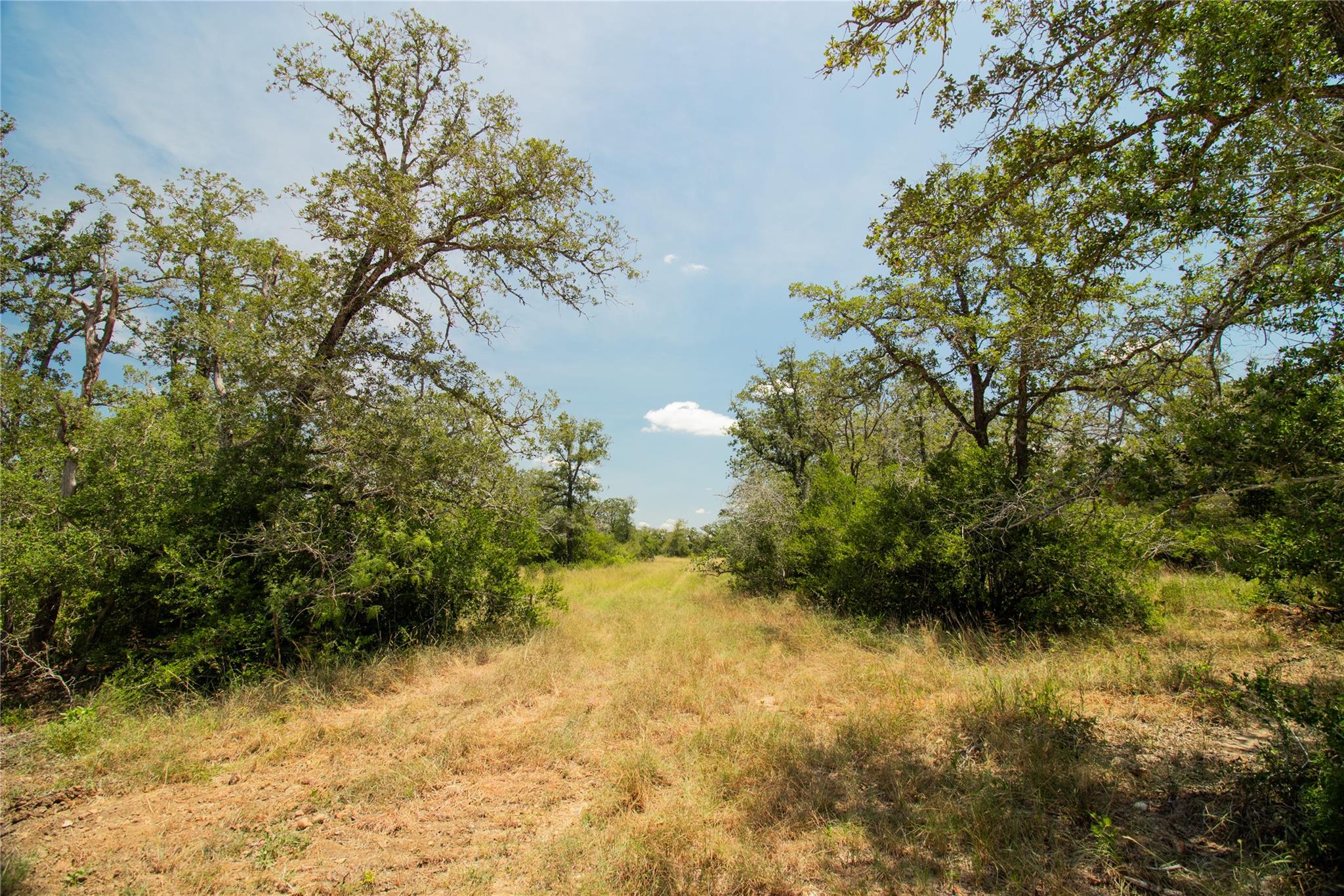 2564 Bluestem Crest Ln, Seguin, TX 78155