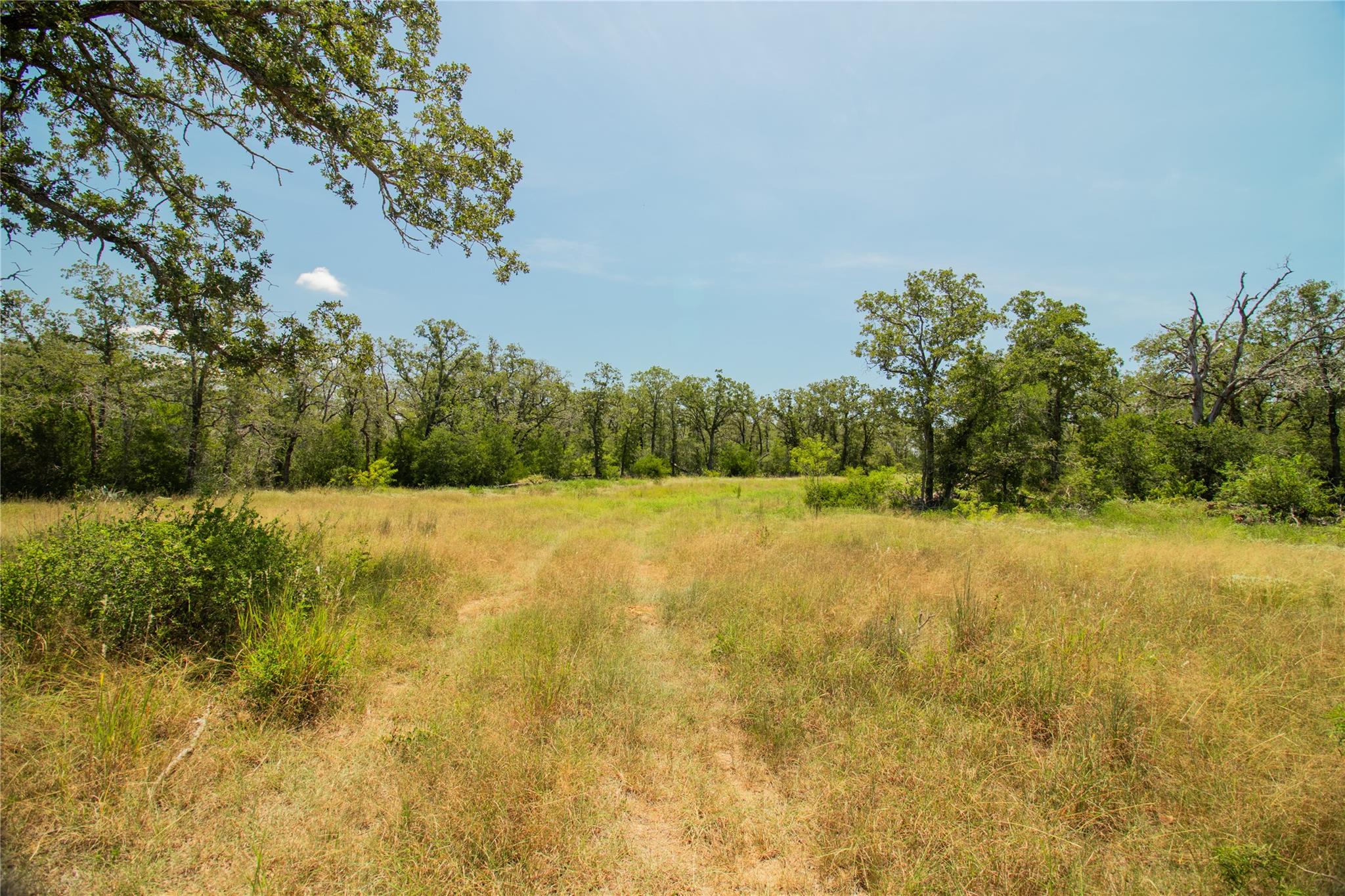 2564 Bluestem Crest Ln, Seguin, TX 78155