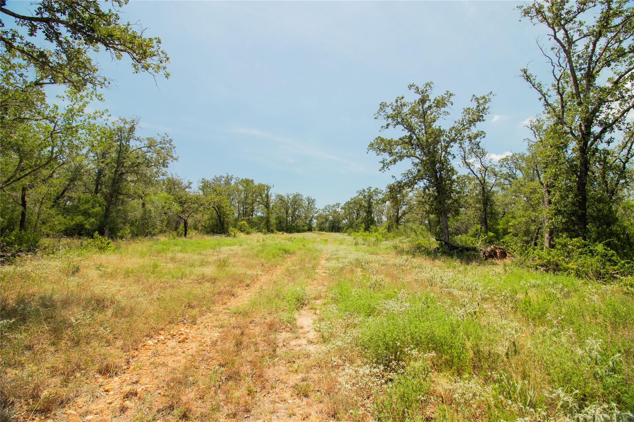 2564 Bluestem Crest Ln, Seguin, TX 78155