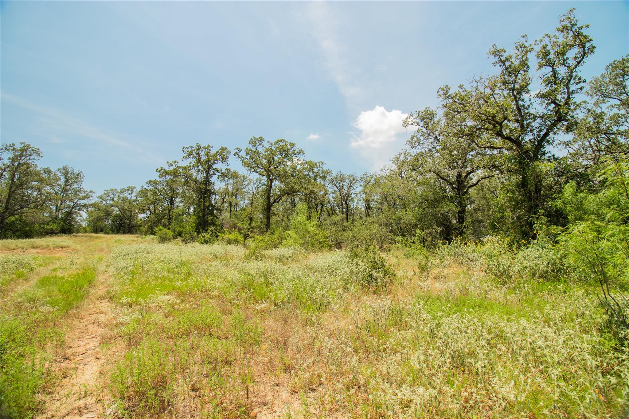 2564 Bluestem Crest Ln, Seguin, TX 78155