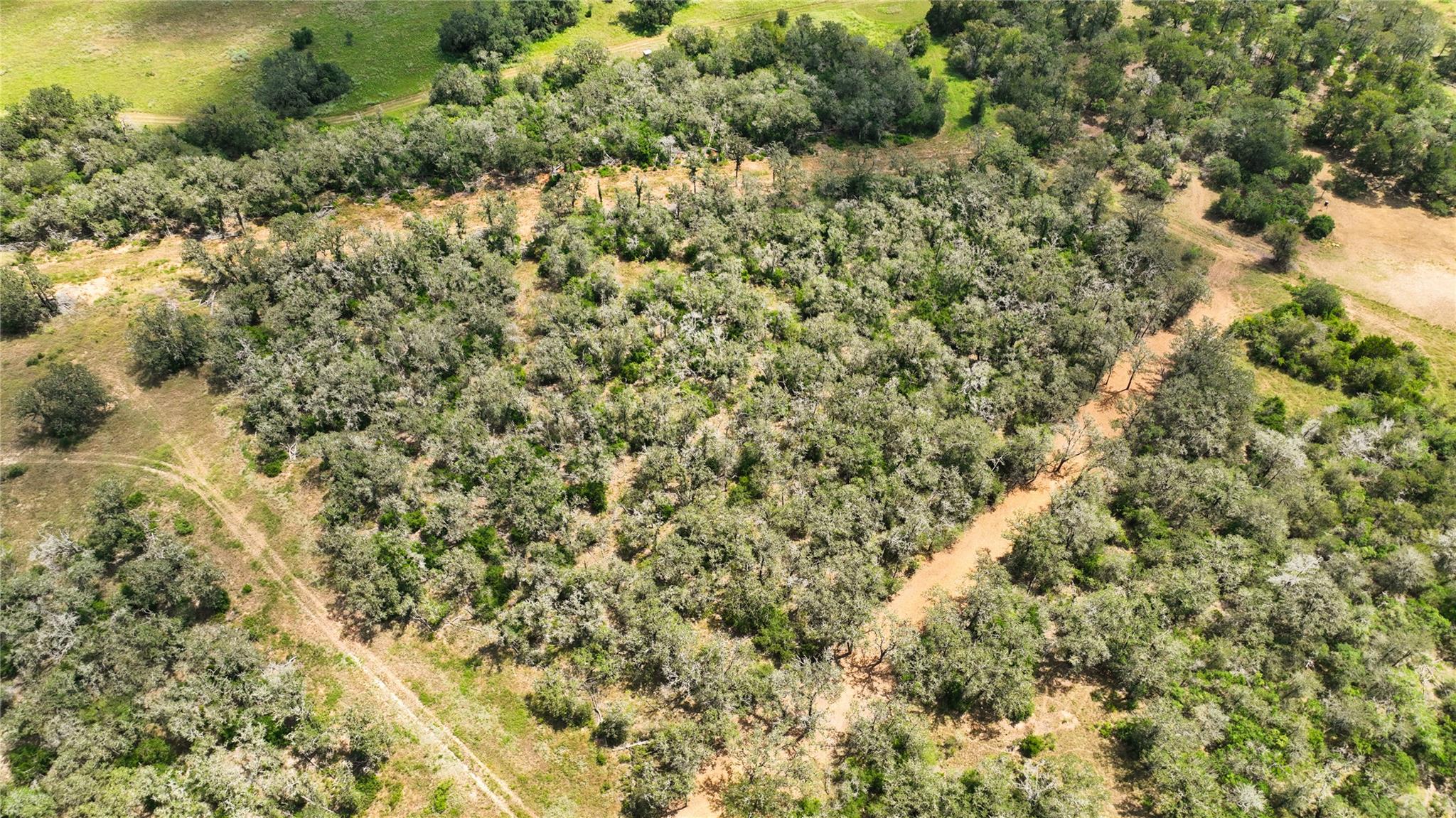 2564 Bluestem Crest Ln, Seguin, TX 78155