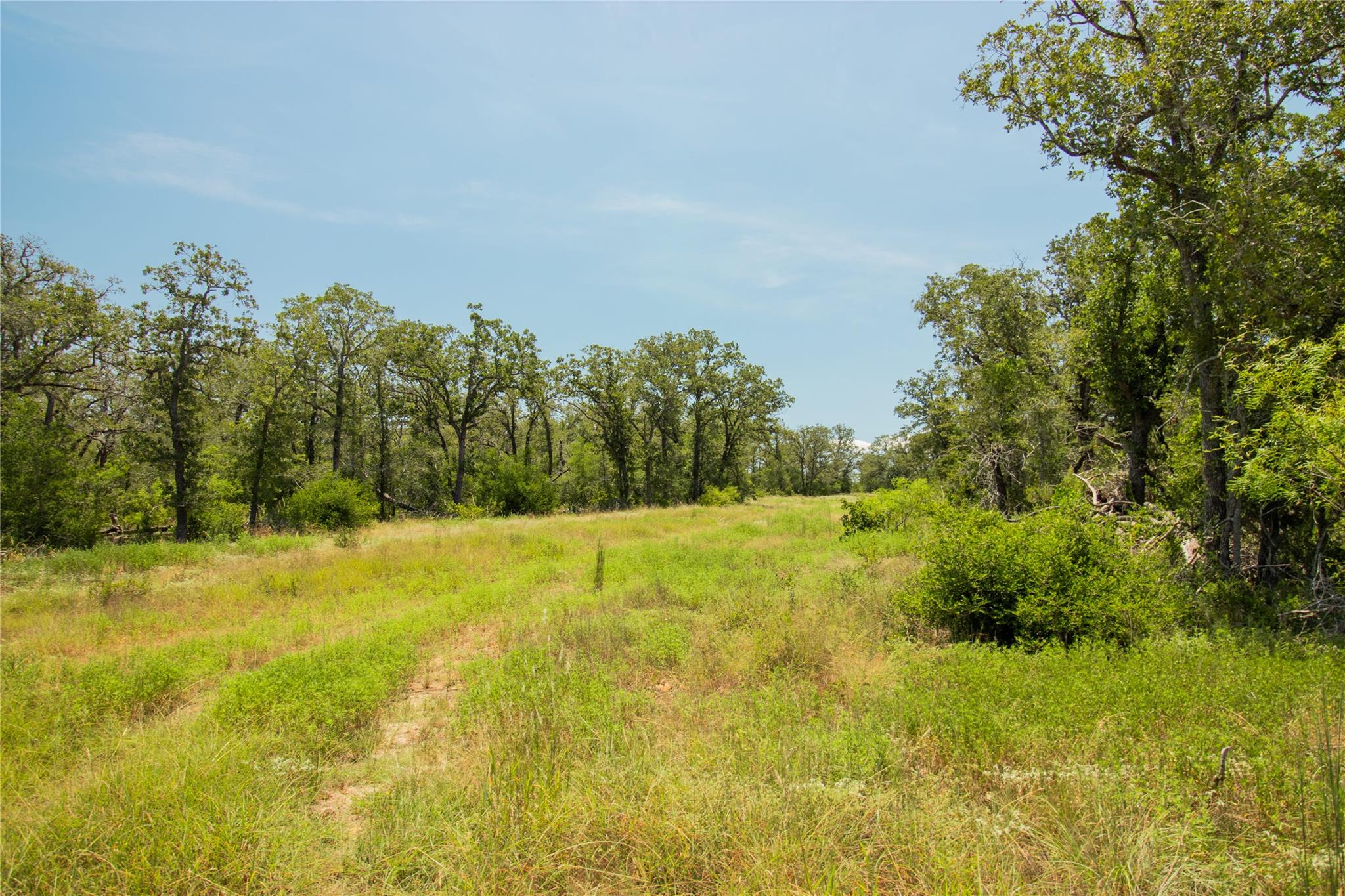 2564 Bluestem Crest Ln, Seguin, TX 78155