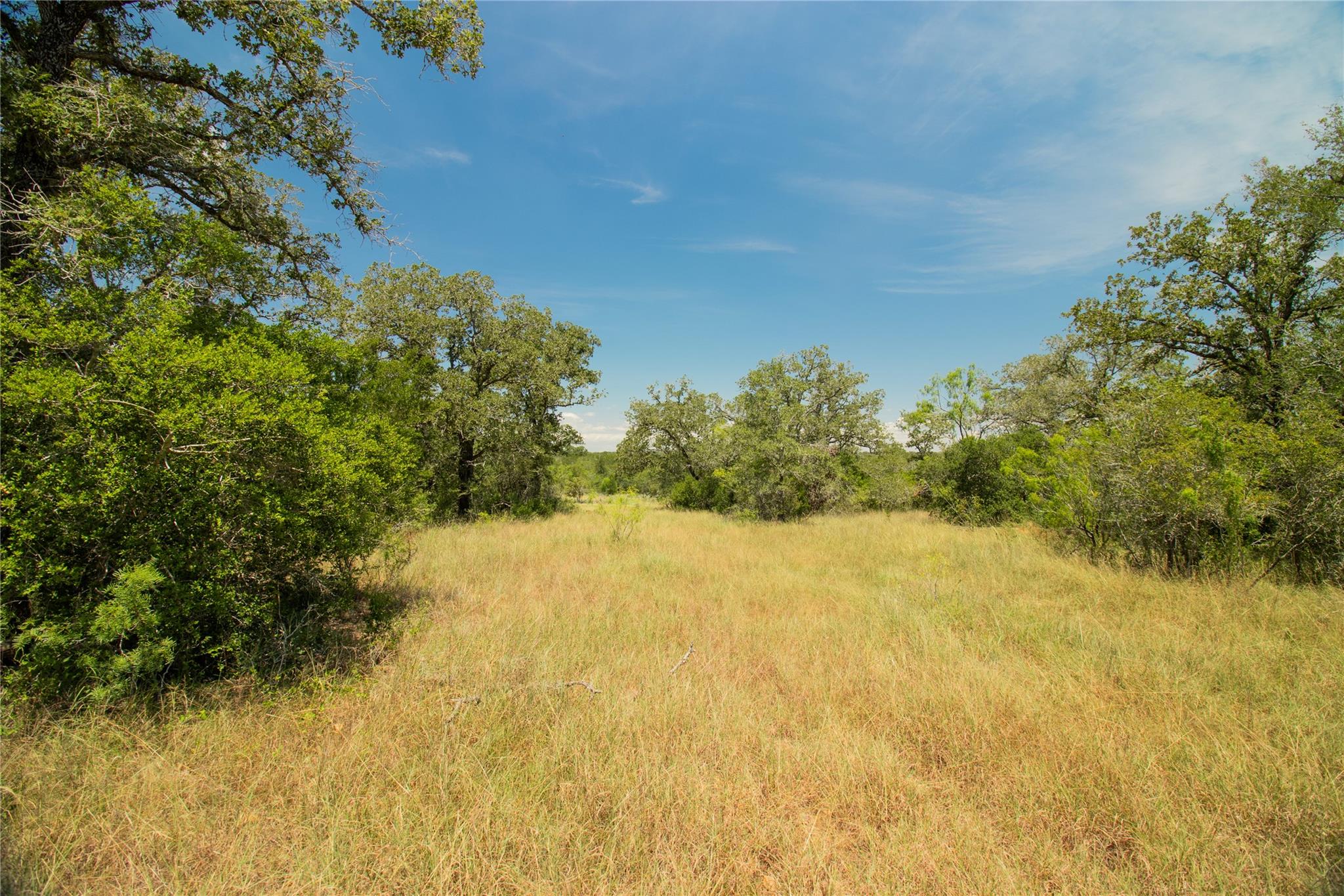 2564 Bluestem Crest Ln, Seguin, TX 78155