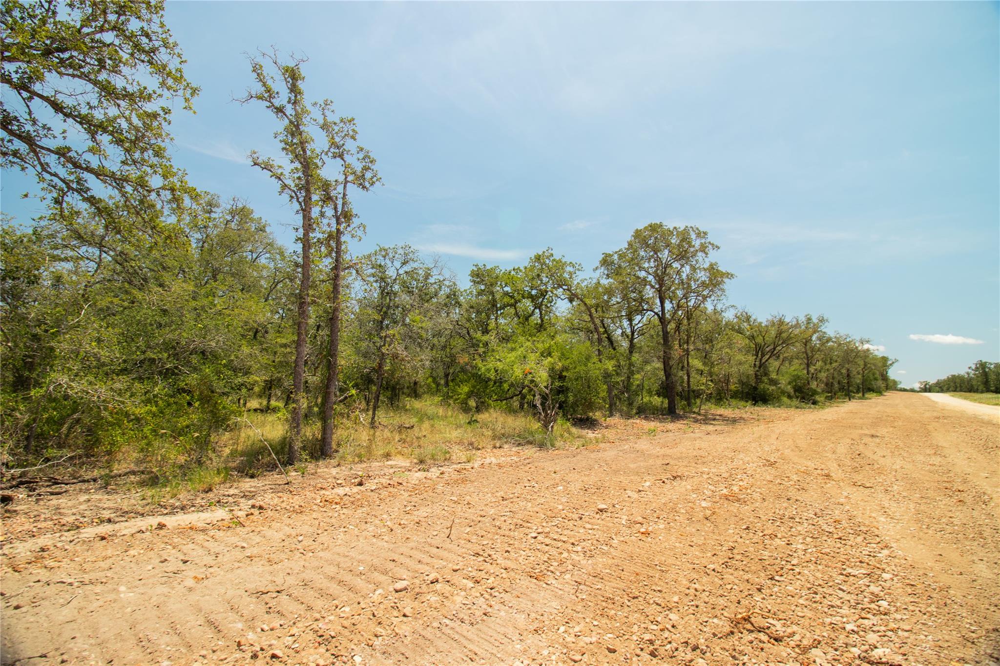 2564 Bluestem Crest Ln, Seguin, TX 78155