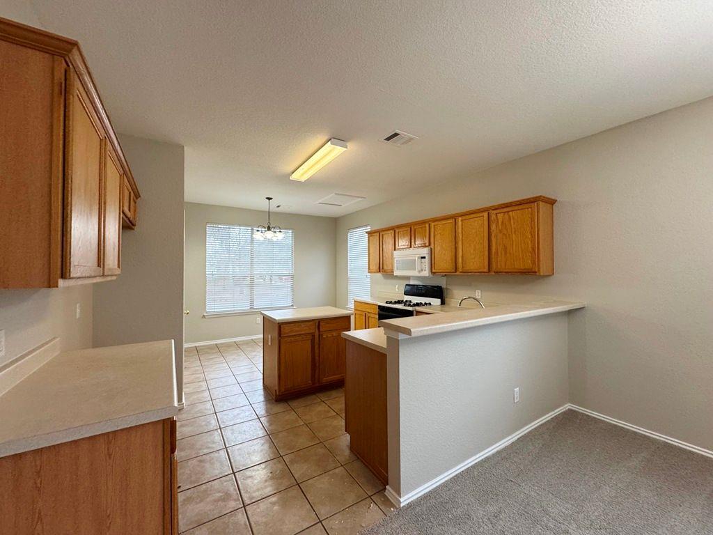 544 Hogan, Kyle, TX 78640