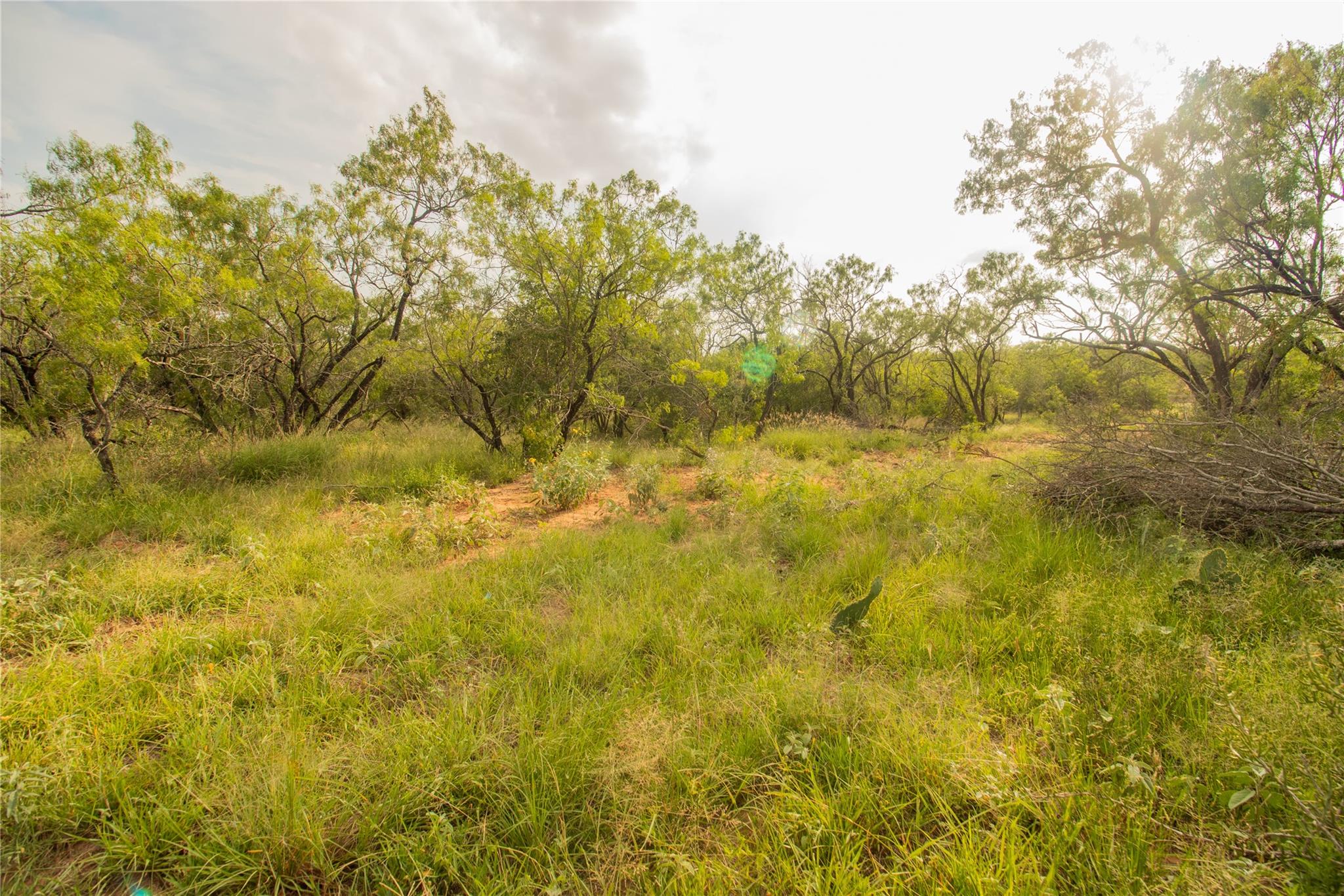 438 Firefly Field Ln, Seguin, TX 78155