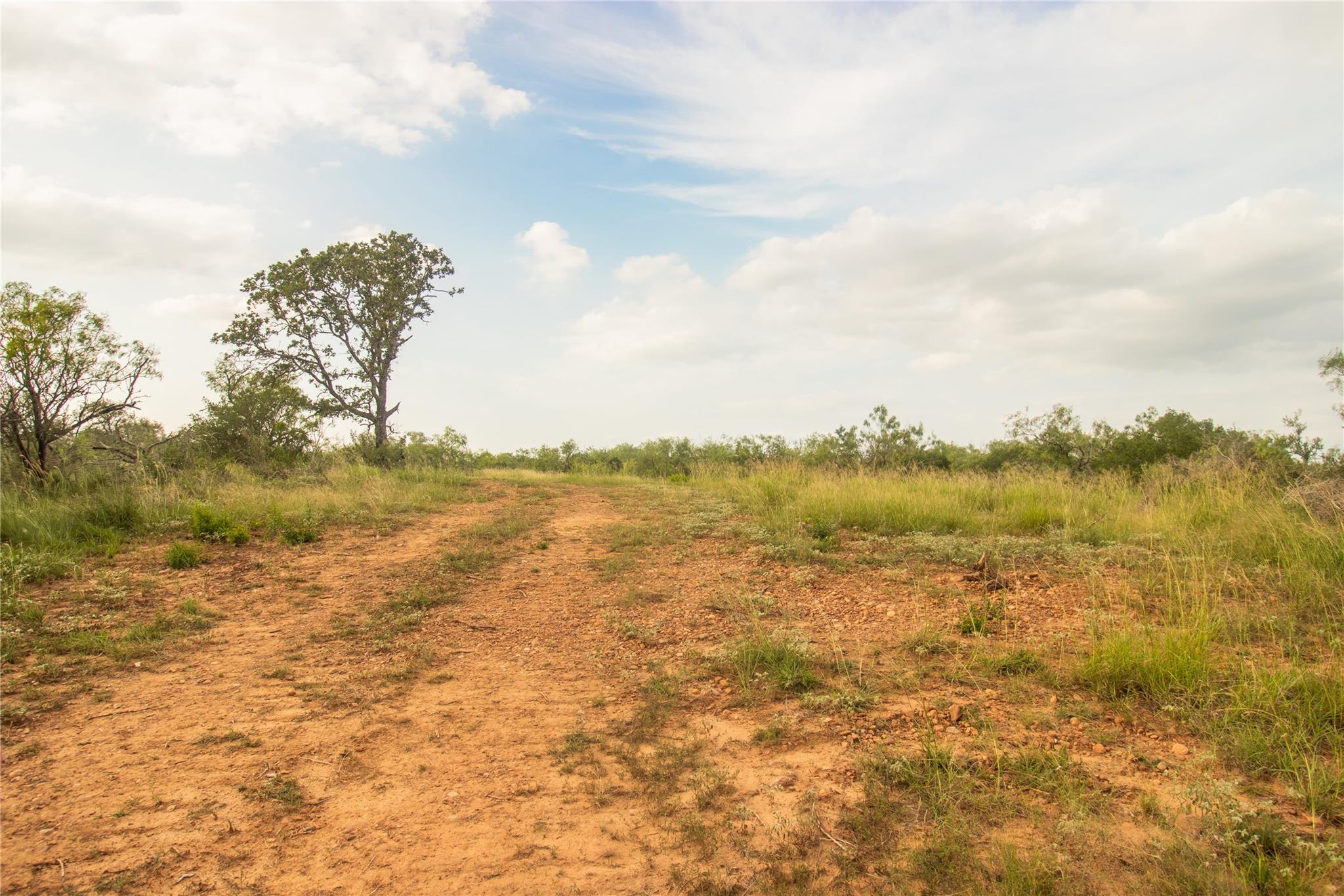 438 Firefly Field Ln, Seguin, TX 78155