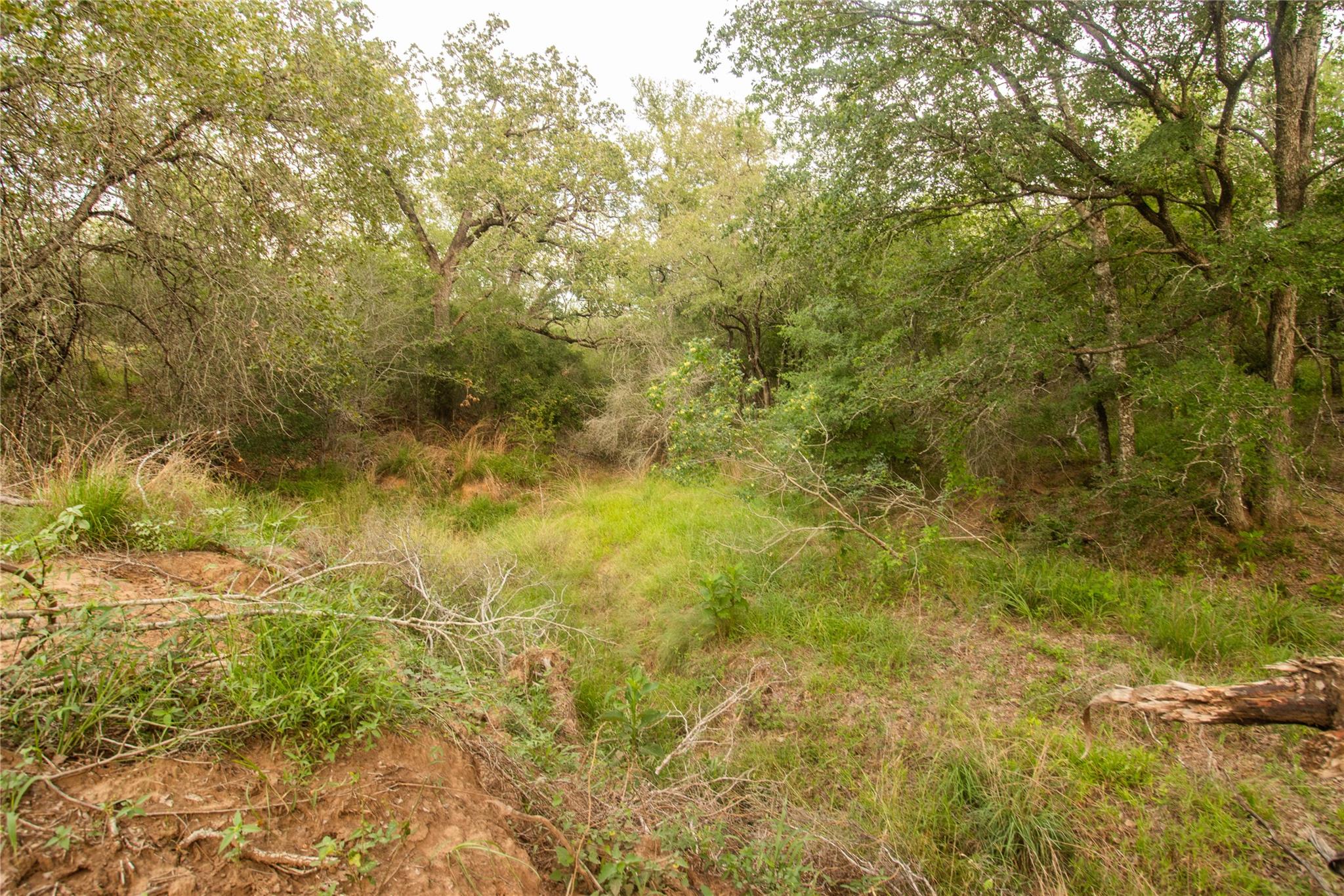 438 Firefly Field Ln, Seguin, TX 78155