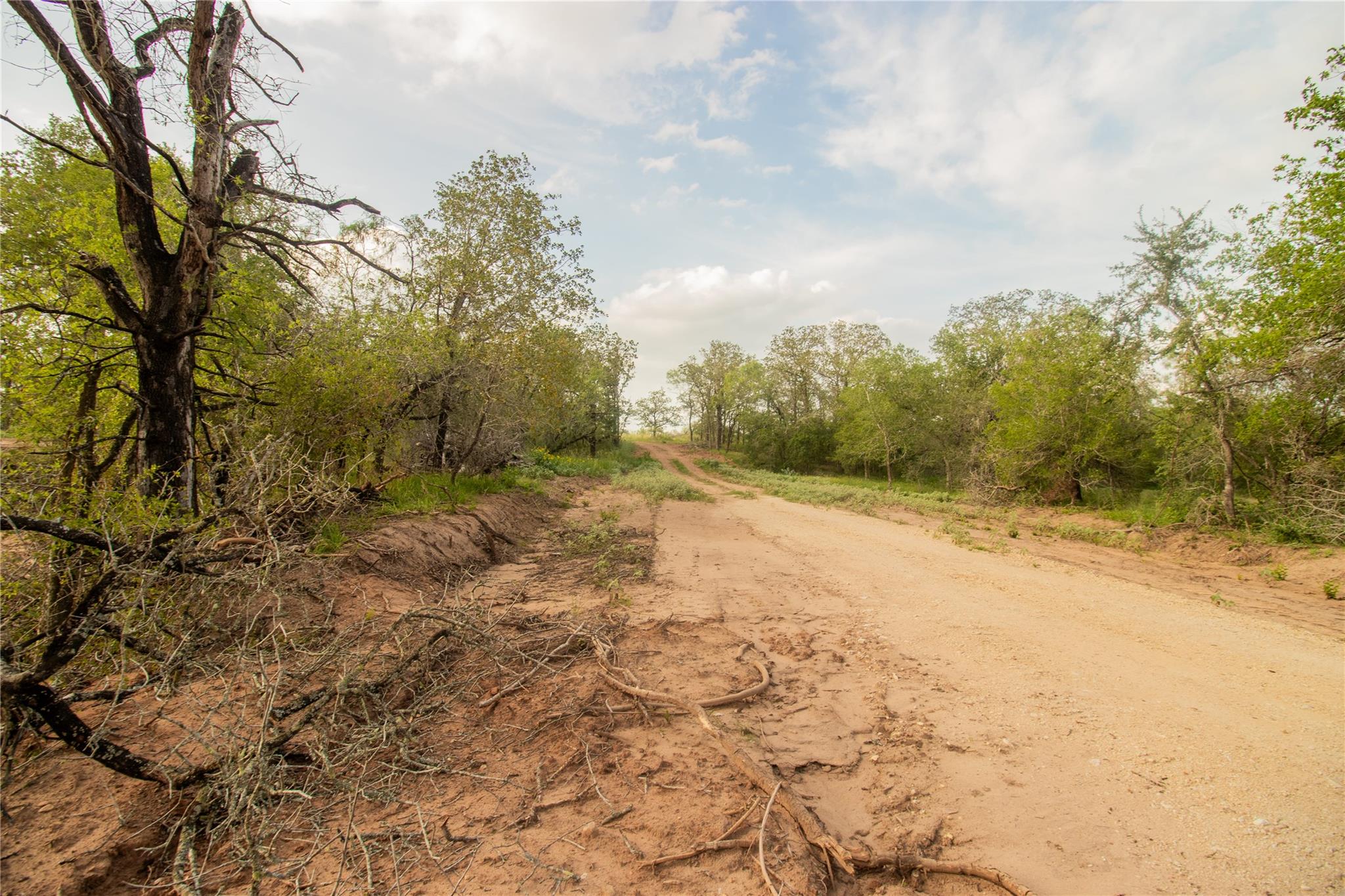 438 Firefly Field Ln, Seguin, TX 78155