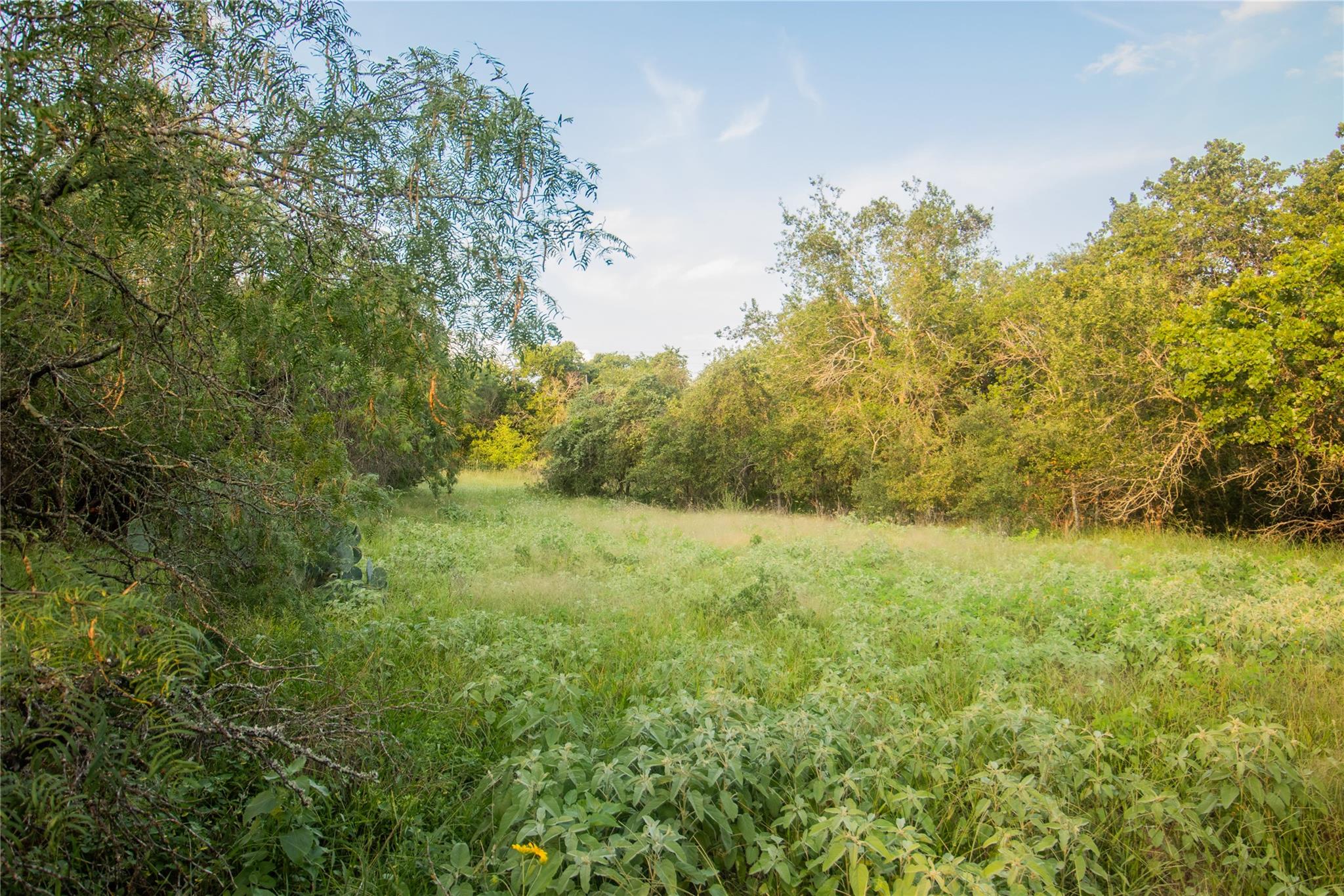 438 Firefly Field Ln, Seguin, TX 78155