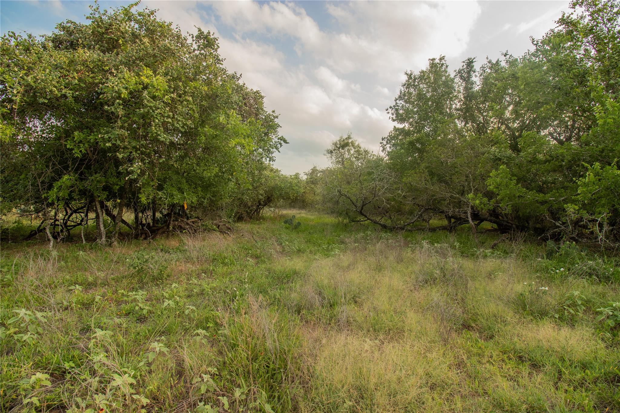 438 Firefly Field Ln, Seguin, TX 78155