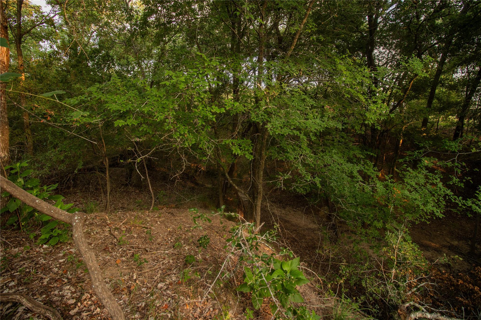 438 Firefly Field Ln, Seguin, TX 78155