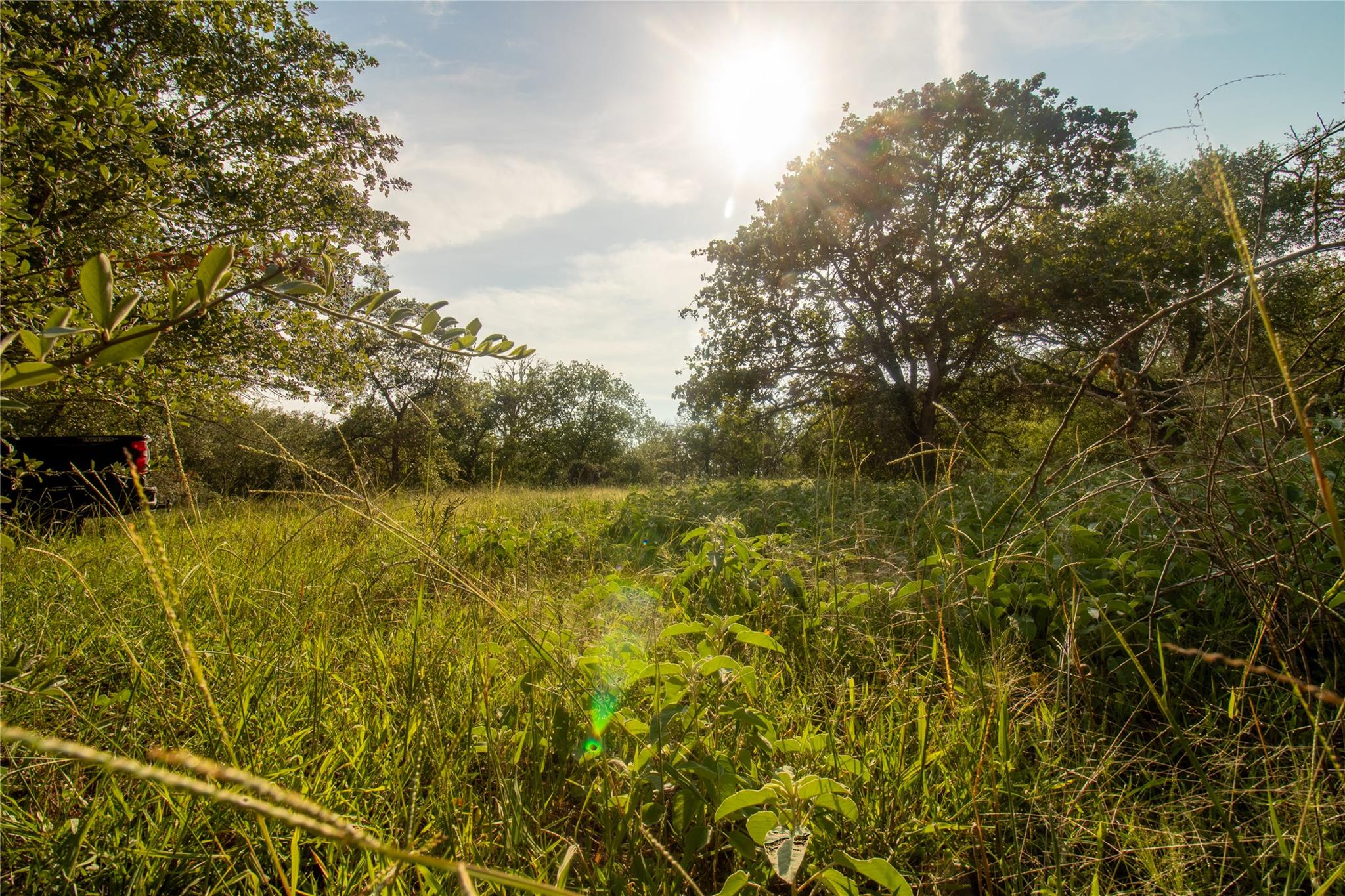 438 Firefly Field Ln, Seguin, TX 78155