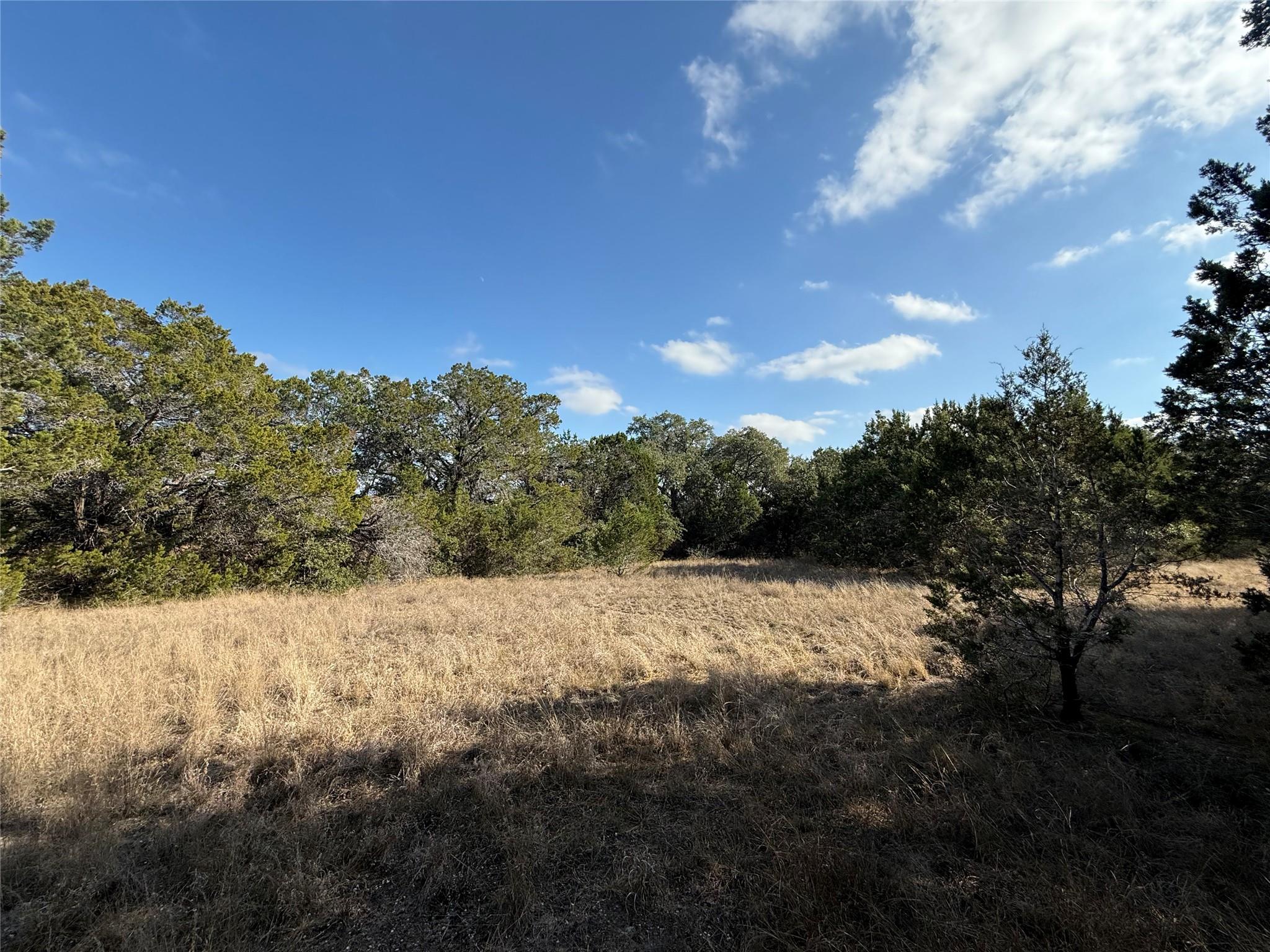 Cypress Mill, TX 78663