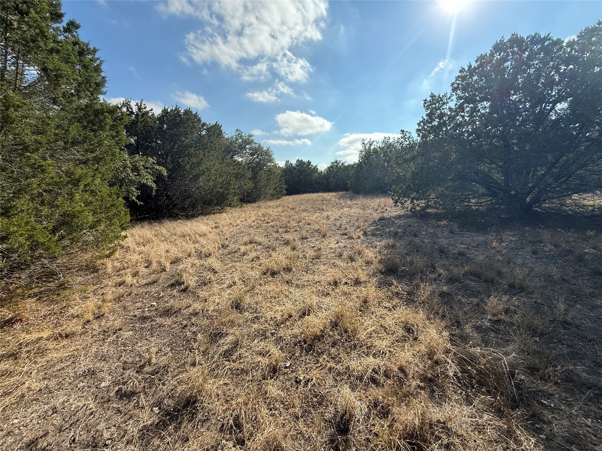 Cypress Mill, TX 78663