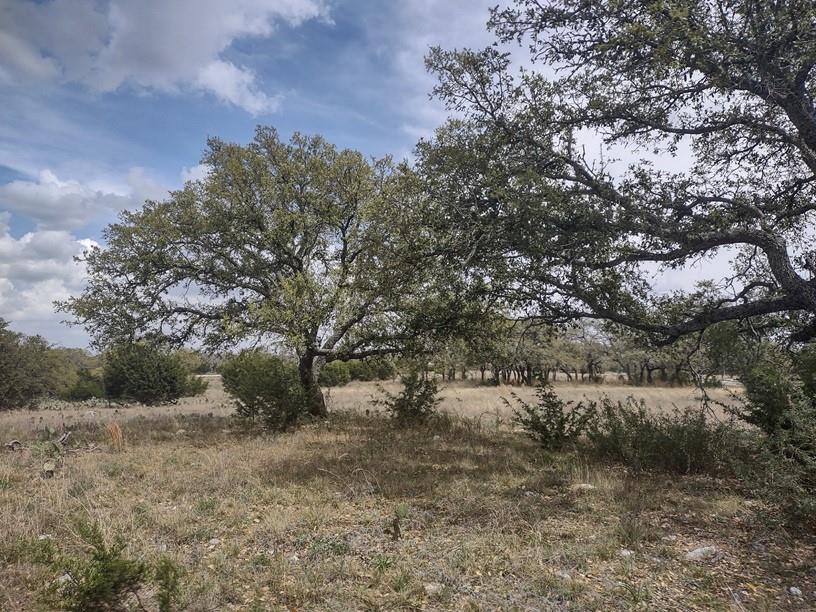 622 Blackbuck Ridge Dr, Lampasas, TX 76550