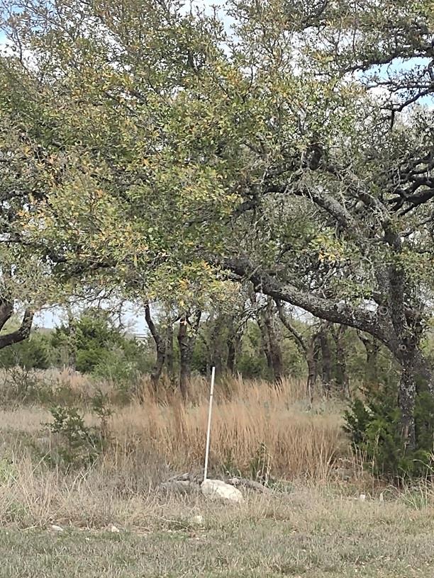 622 Blackbuck Ridge Dr, Lampasas, TX 76550