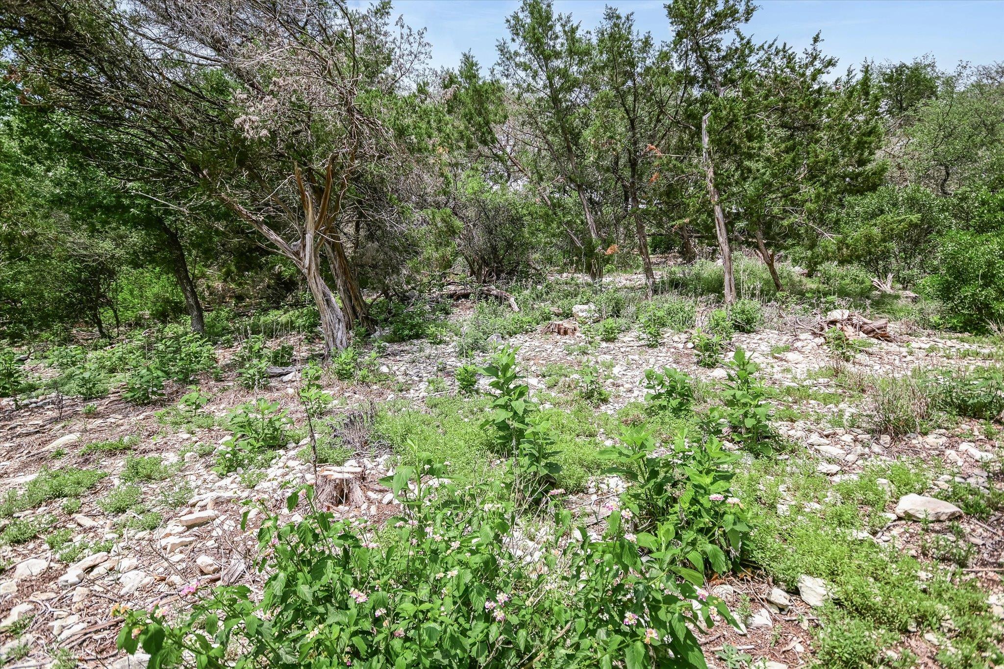 4028 Walnut Clay Dr, Austin, TX 78731