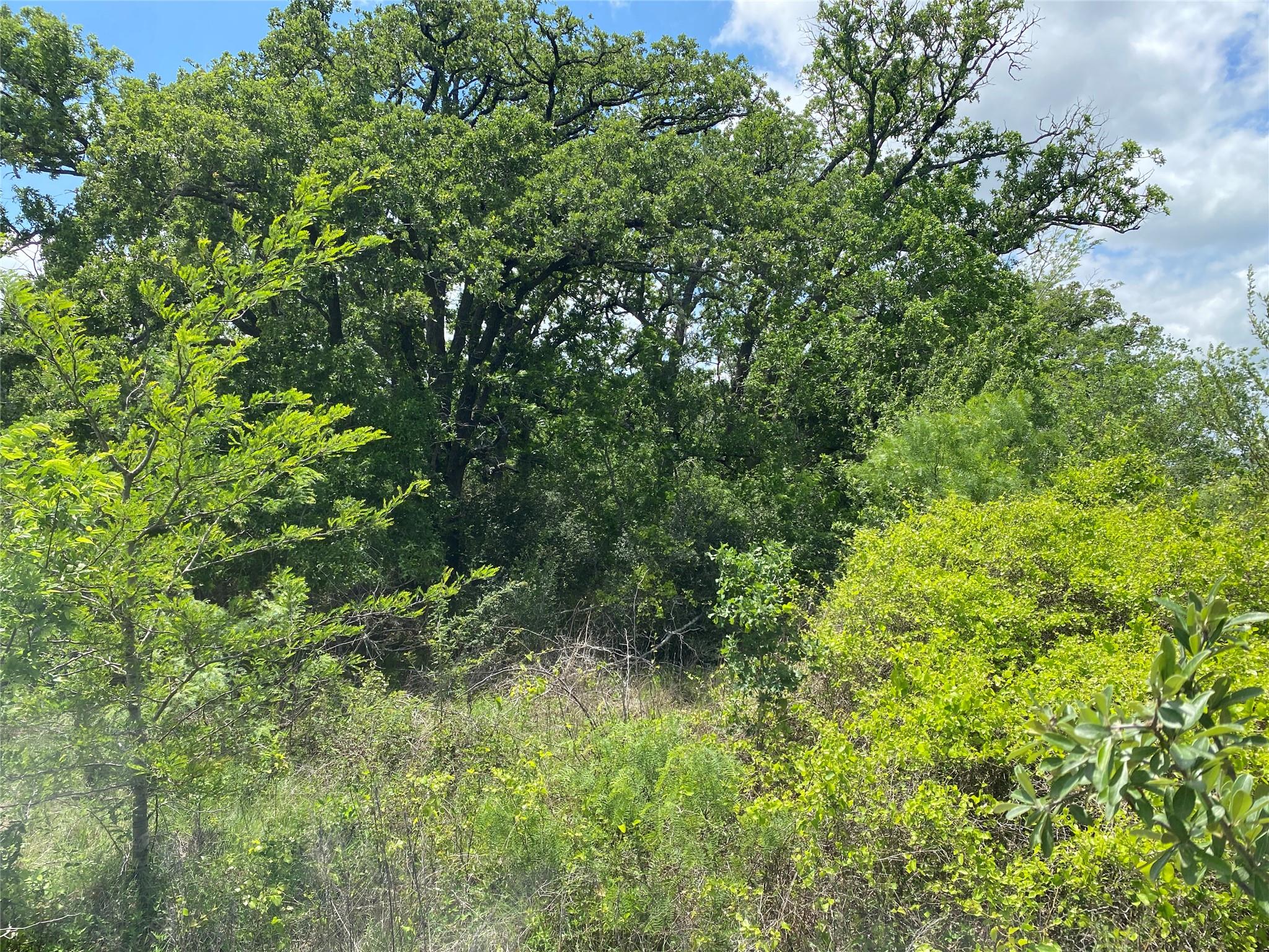 TBD N HWY 77, Lincoln, TX 78948