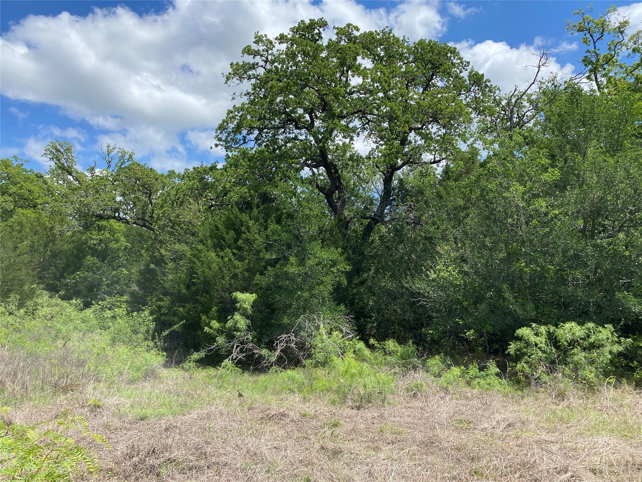 TBD N HWY 77, Lincoln, TX 78948