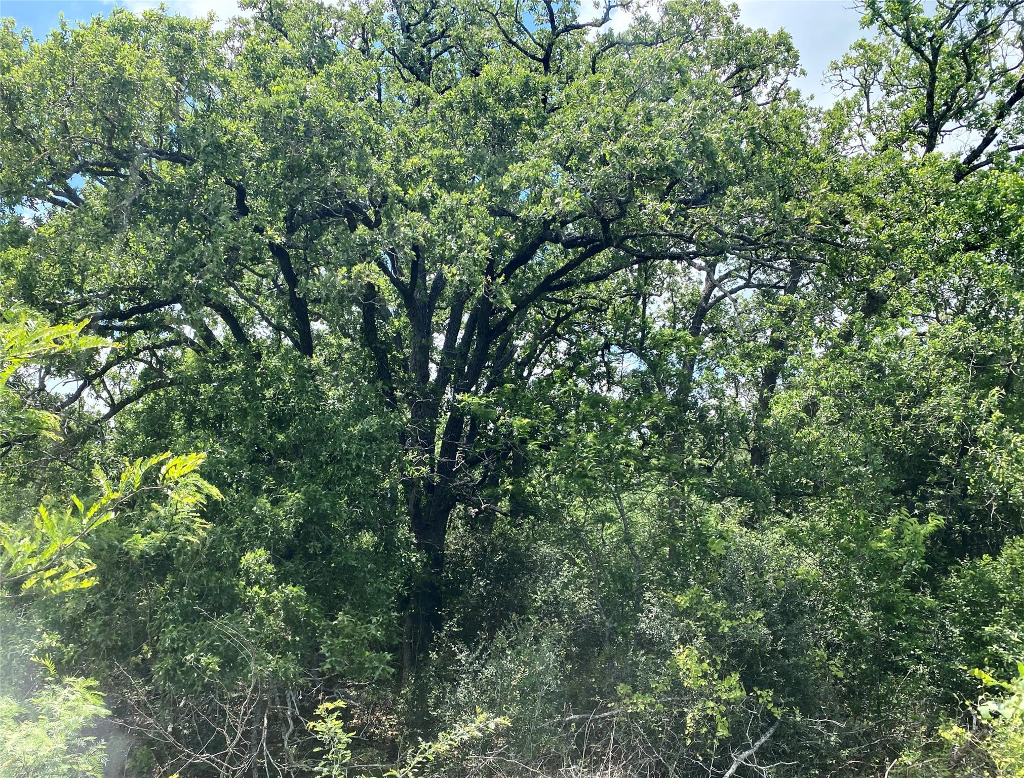 TBD N HWY 77, Lincoln, TX 78948