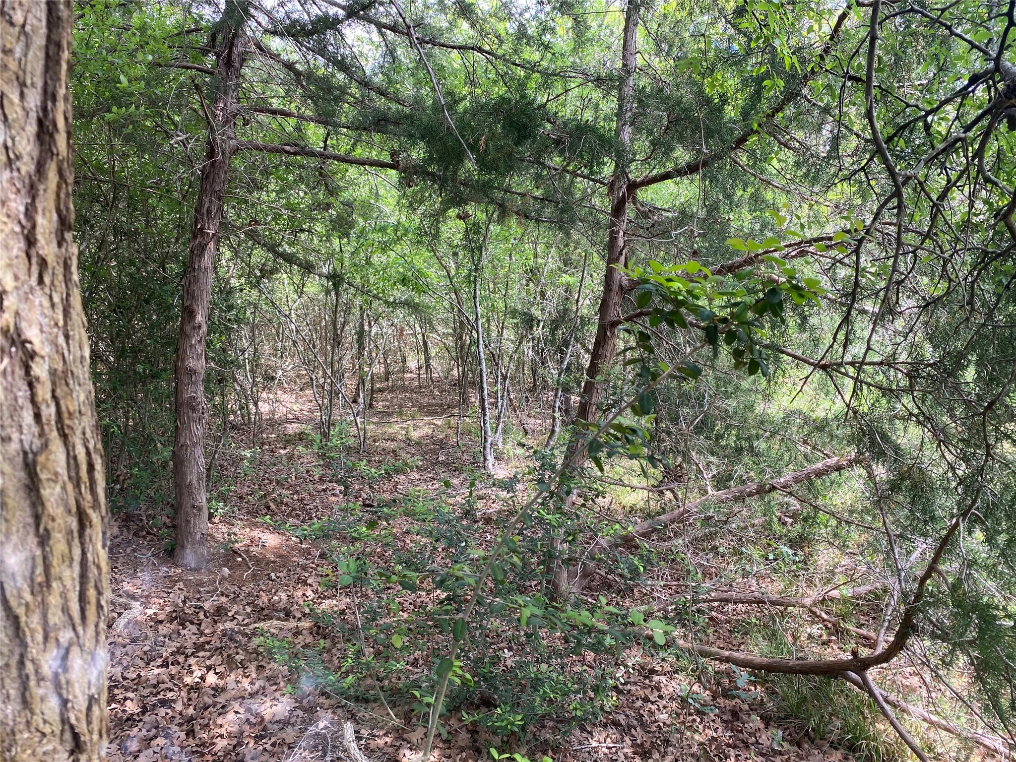 TBD N HWY 77, Lincoln, TX 78948