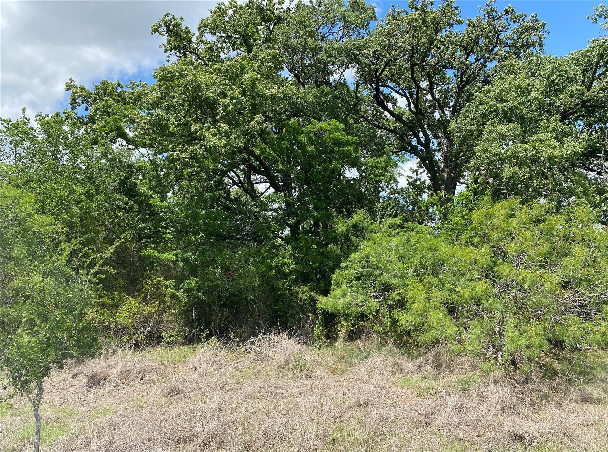 TBD N HWY 77, Lincoln, TX 78948