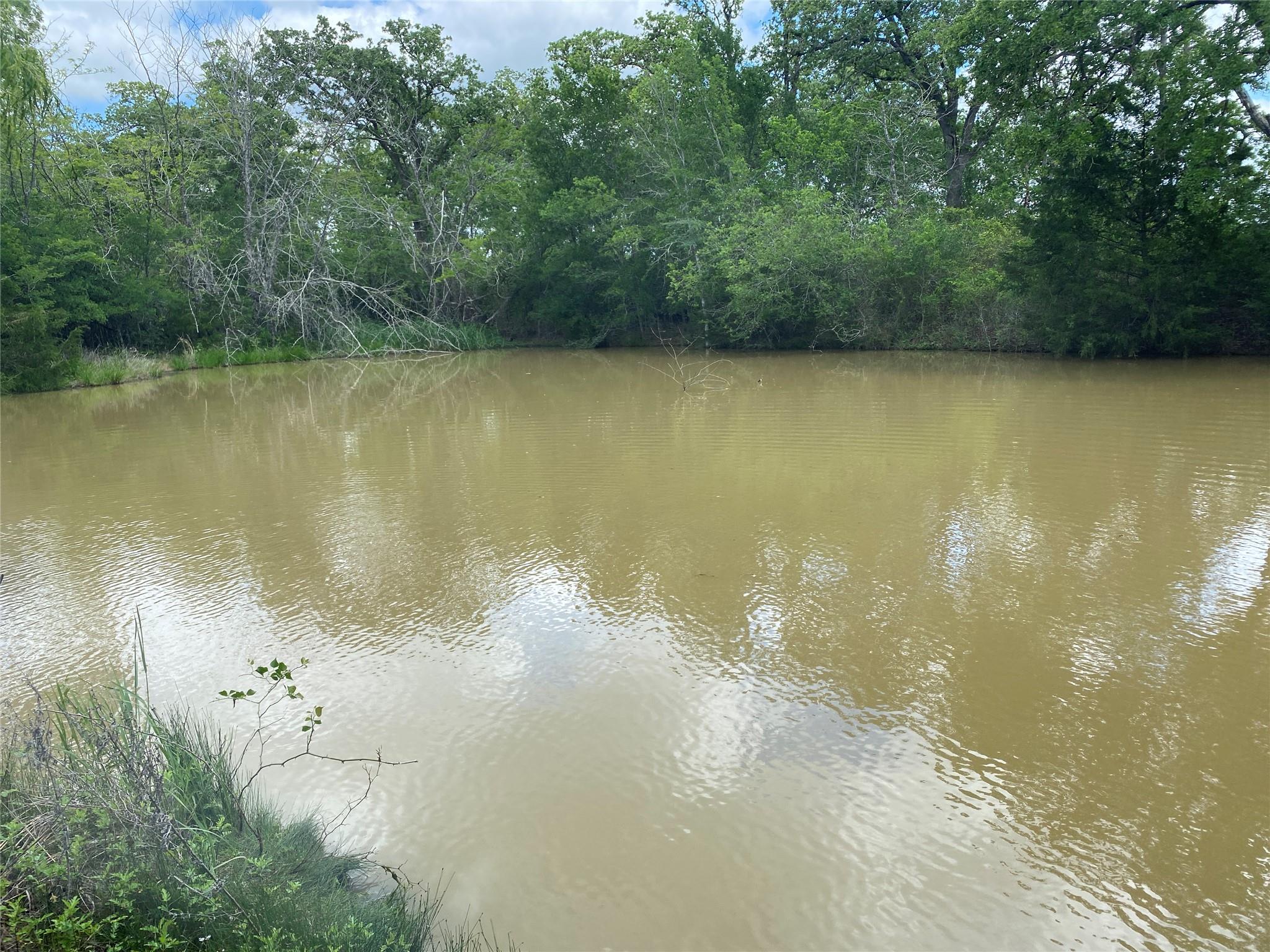 TBD N HWY 77, Lincoln, TX 78948