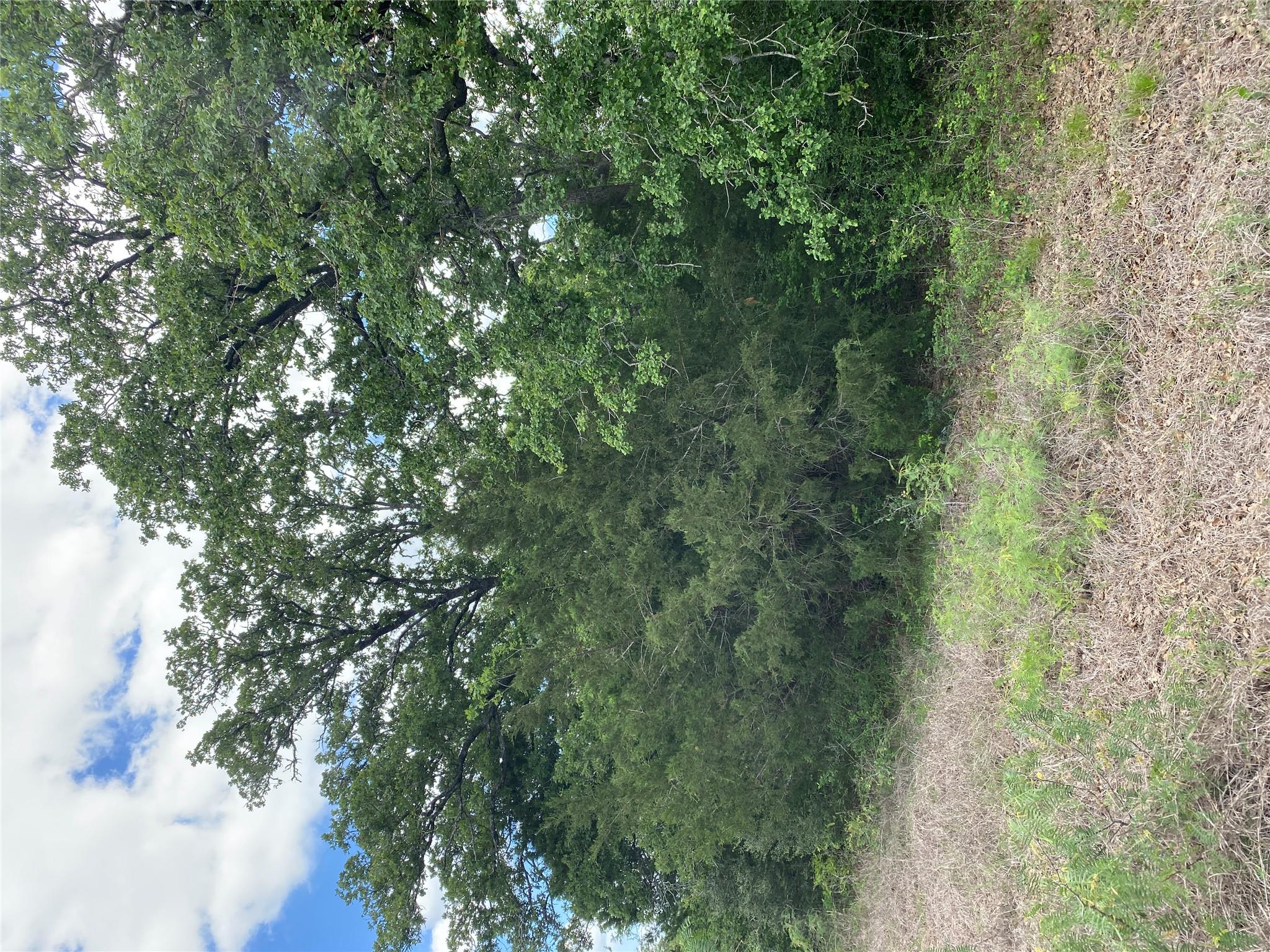 TBD N HWY 77, Lincoln, TX 78948