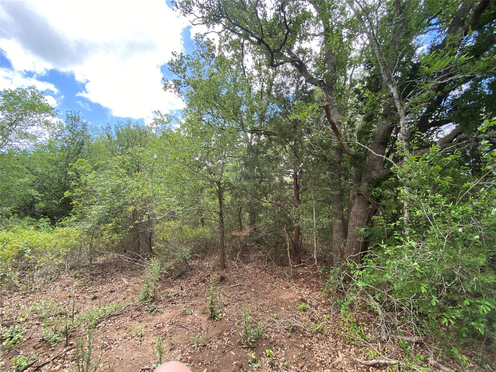 TBD N HWY 77, Lincoln, TX 78948