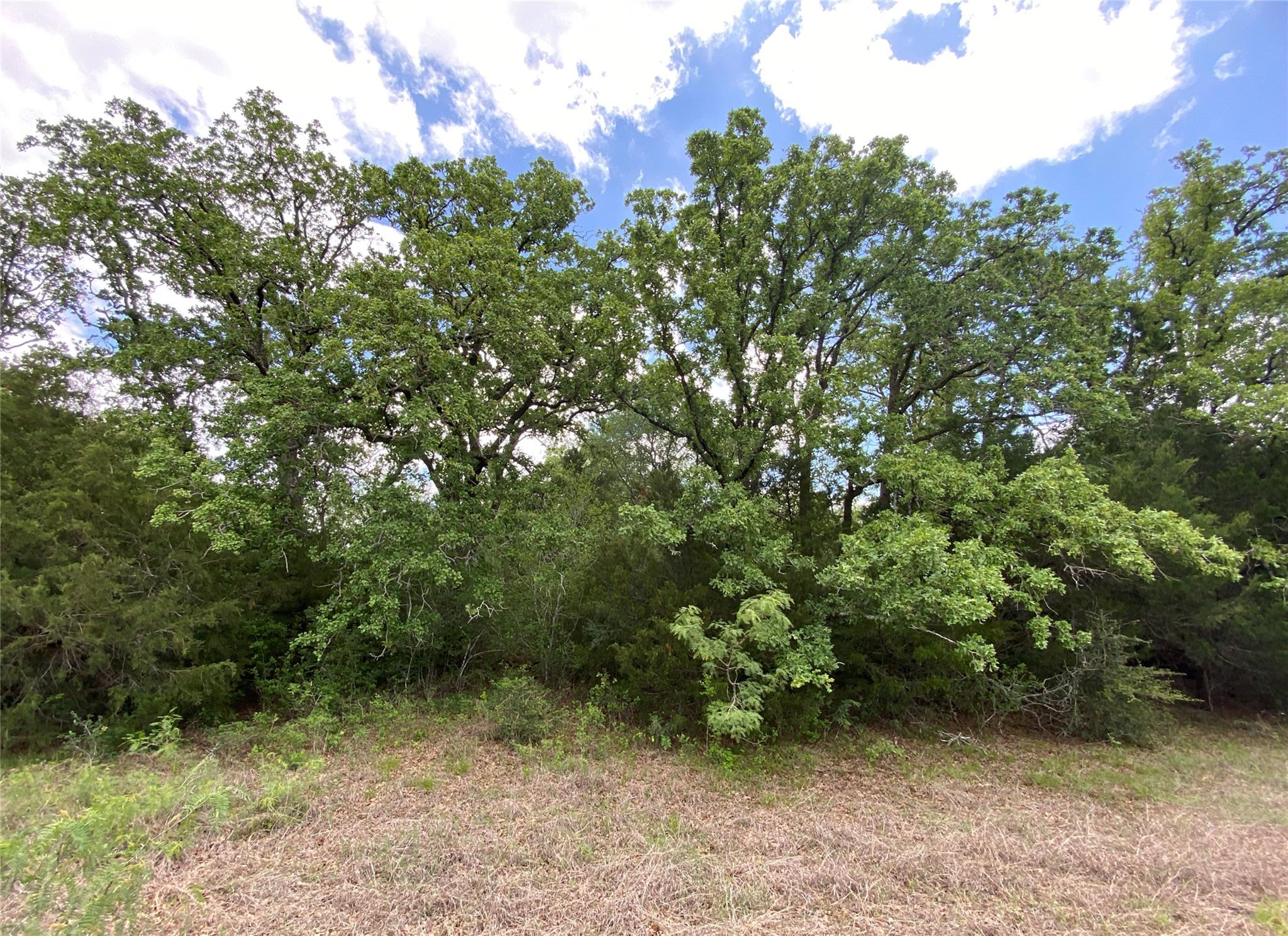 TBD N HWY 77, Lincoln, TX 78948