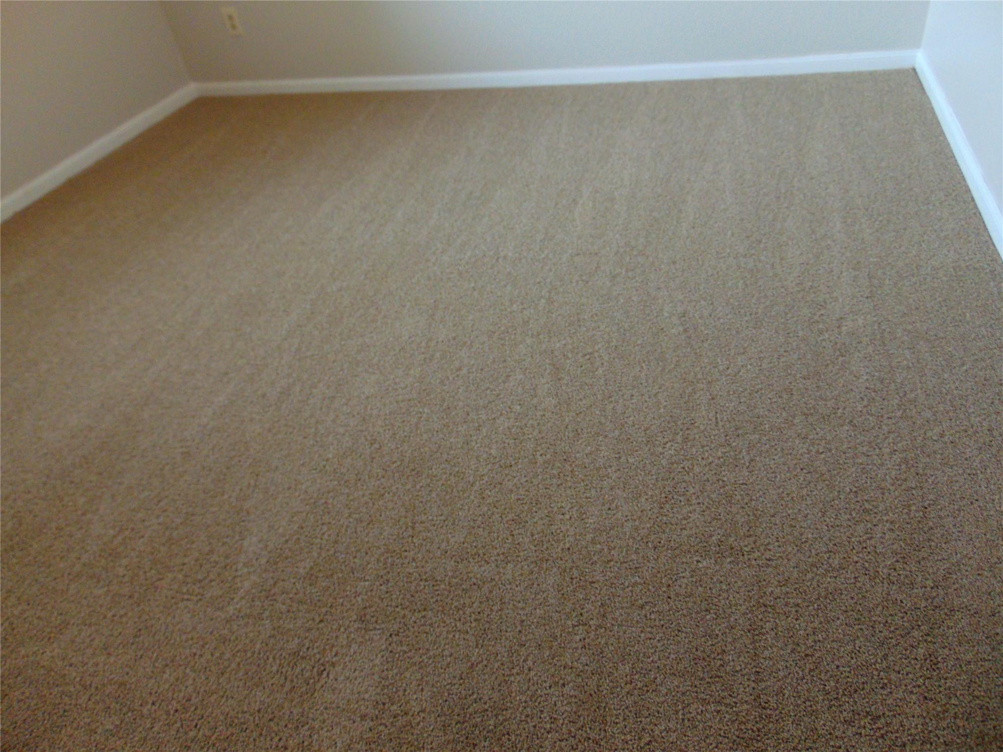 2508 Enfield Rd # 8, Austin, TX 78703