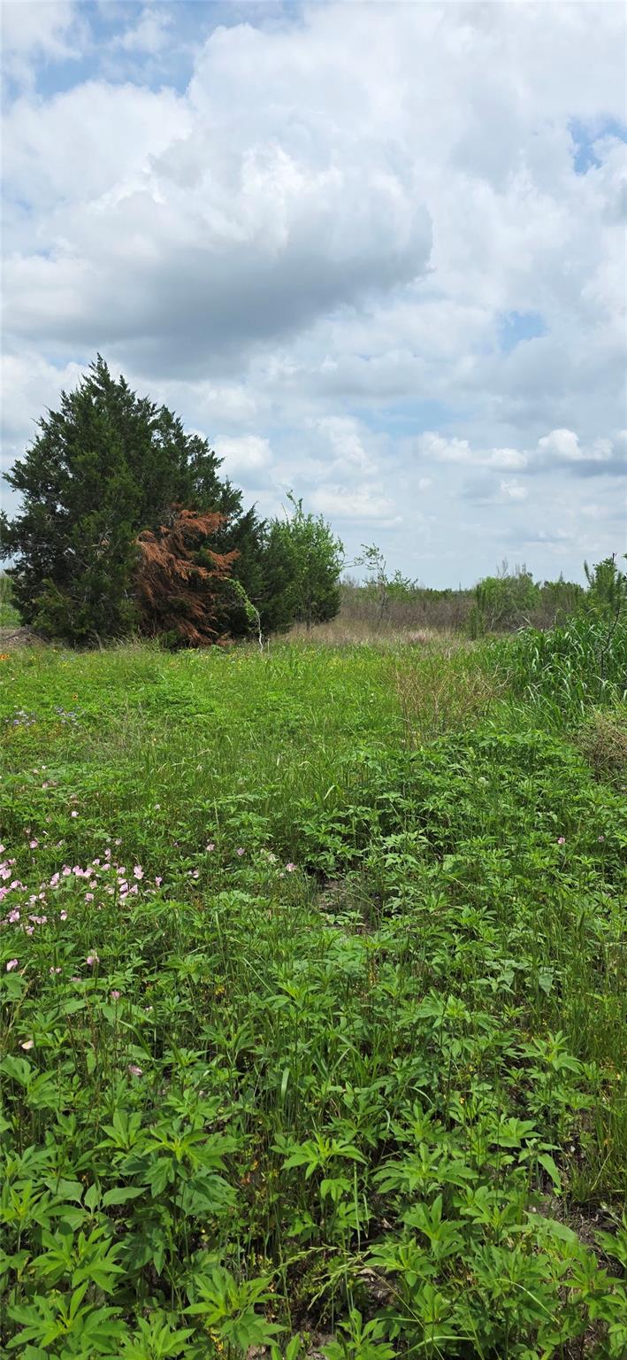 san marcos hwy San Marcos Hwy Highway, Fentress, TX 78622