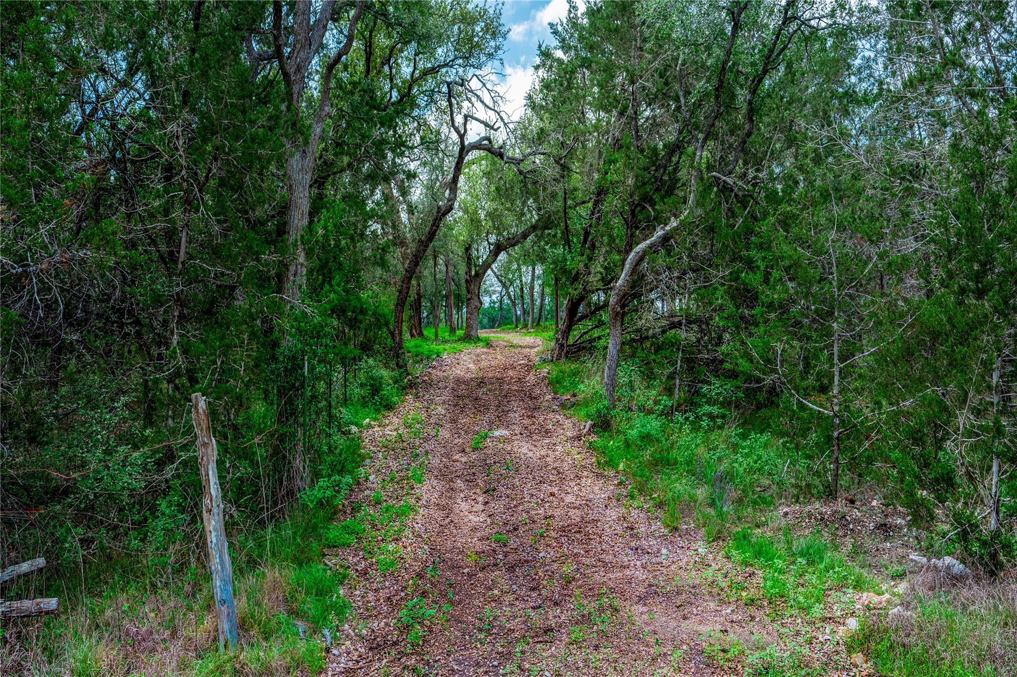 330 Live Oak Hills Ct, San Marcos, TX 78666