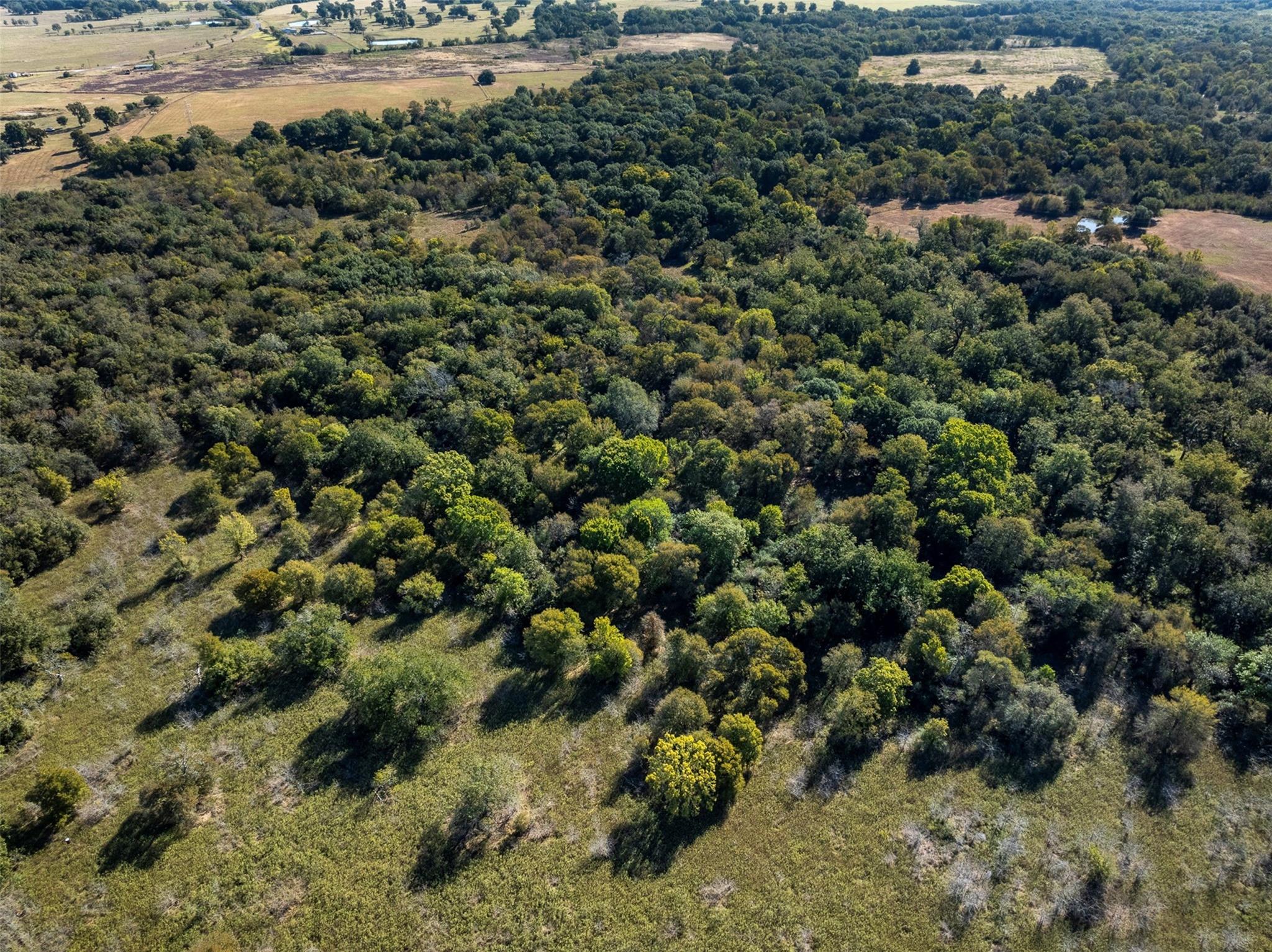 3211 FM 3403, Lincoln, TX 78948