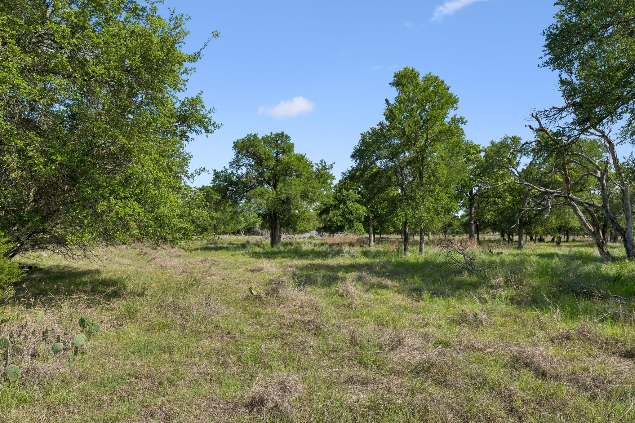 TBD Rustic Trl, Salado, TX 76571