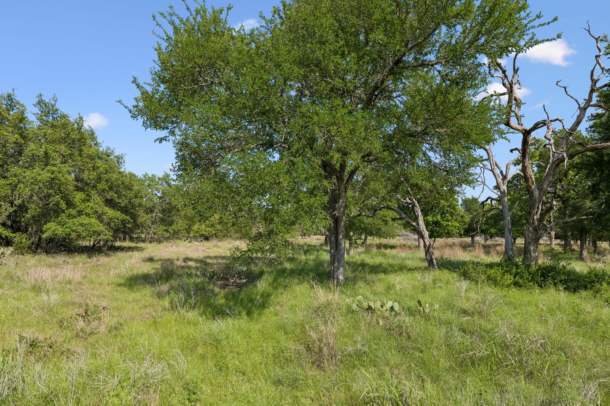 TBD Rustic Trl, Salado, TX 76571