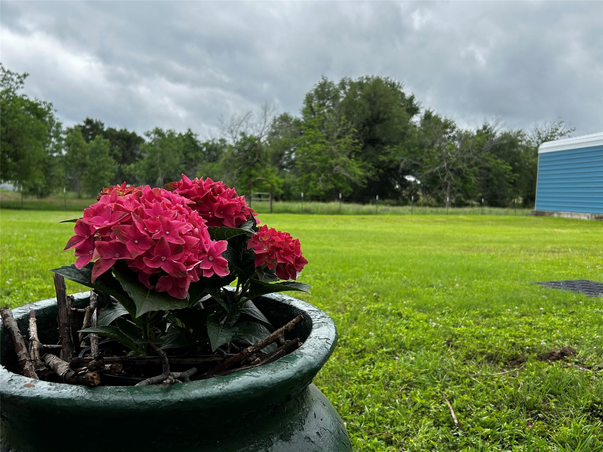 2450 County Road 124, Georgetown, TX 78626