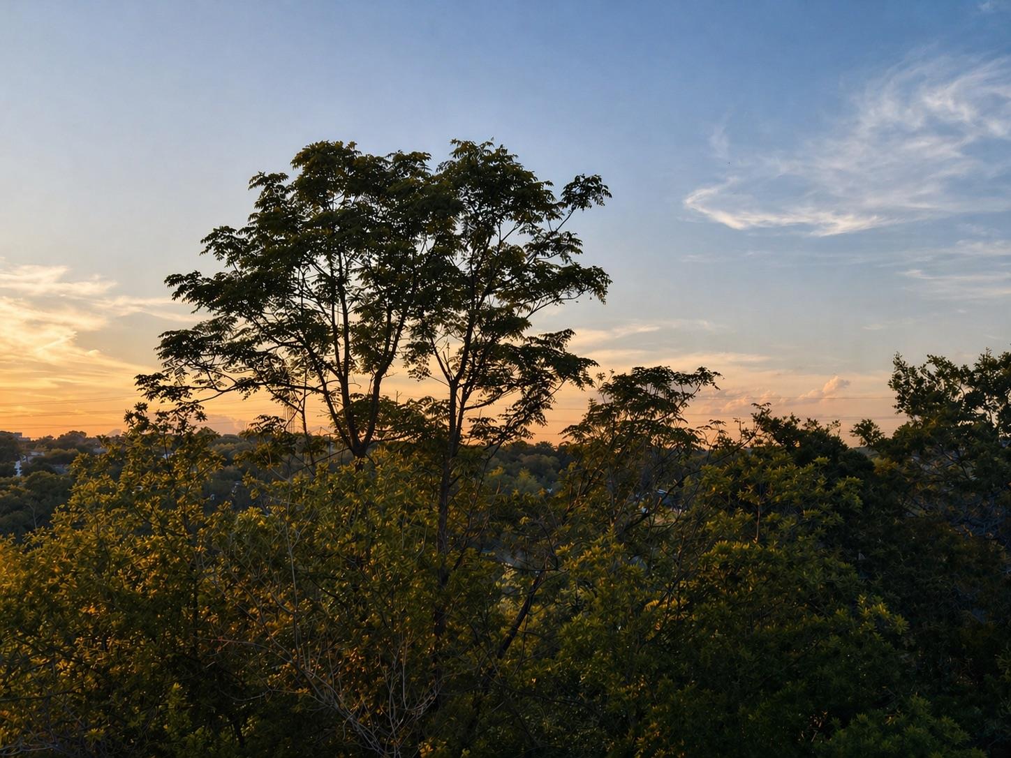 2108 Indian Creek Rd, Austin, TX 78734