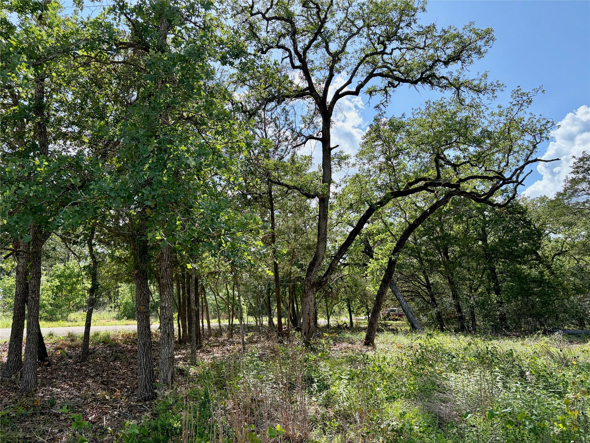 Lots-95/96 Shawnee Dr, Smithville, TX 78957