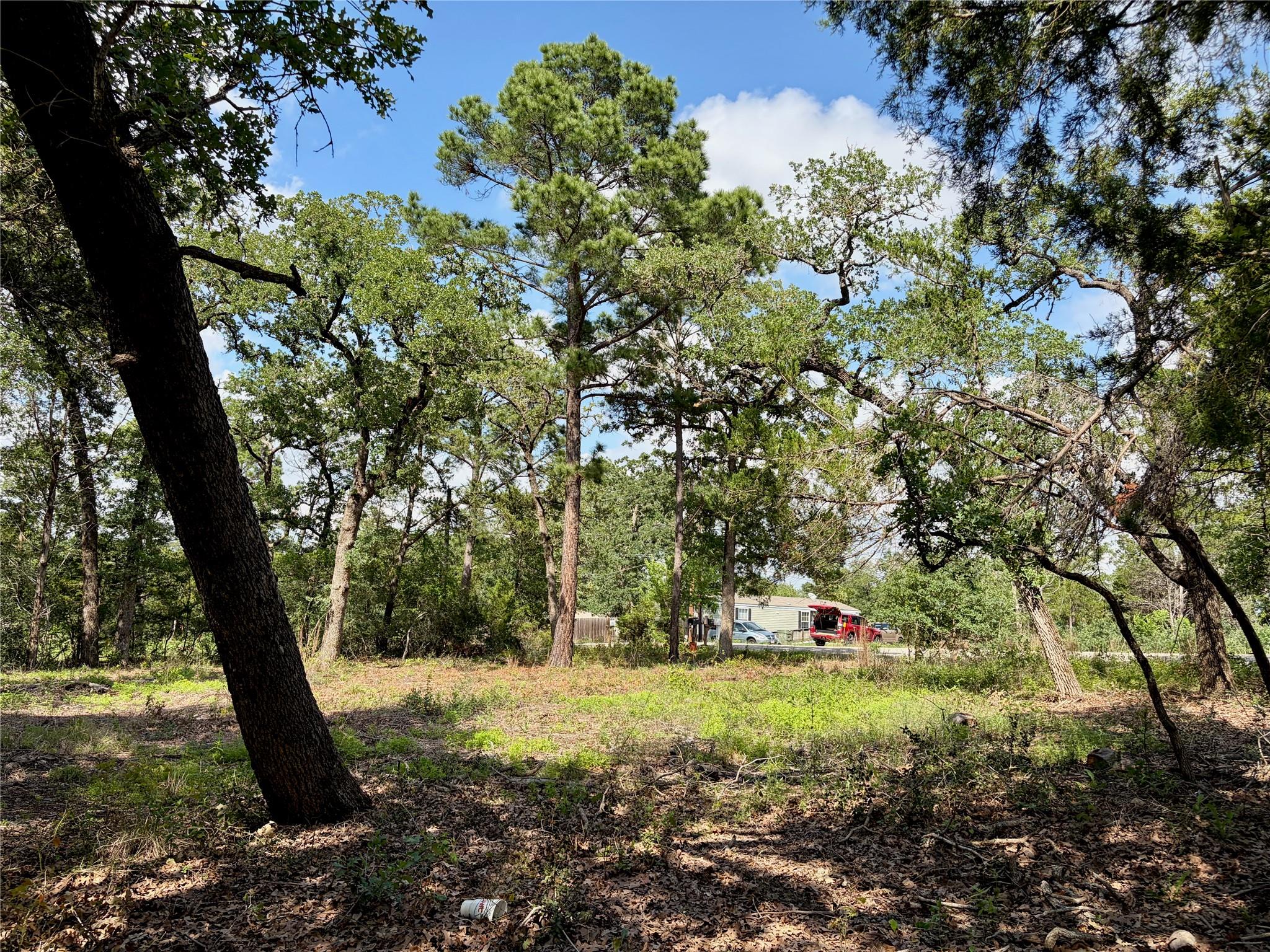 Lots-95/96 Shawnee Dr, Smithville, TX 78957