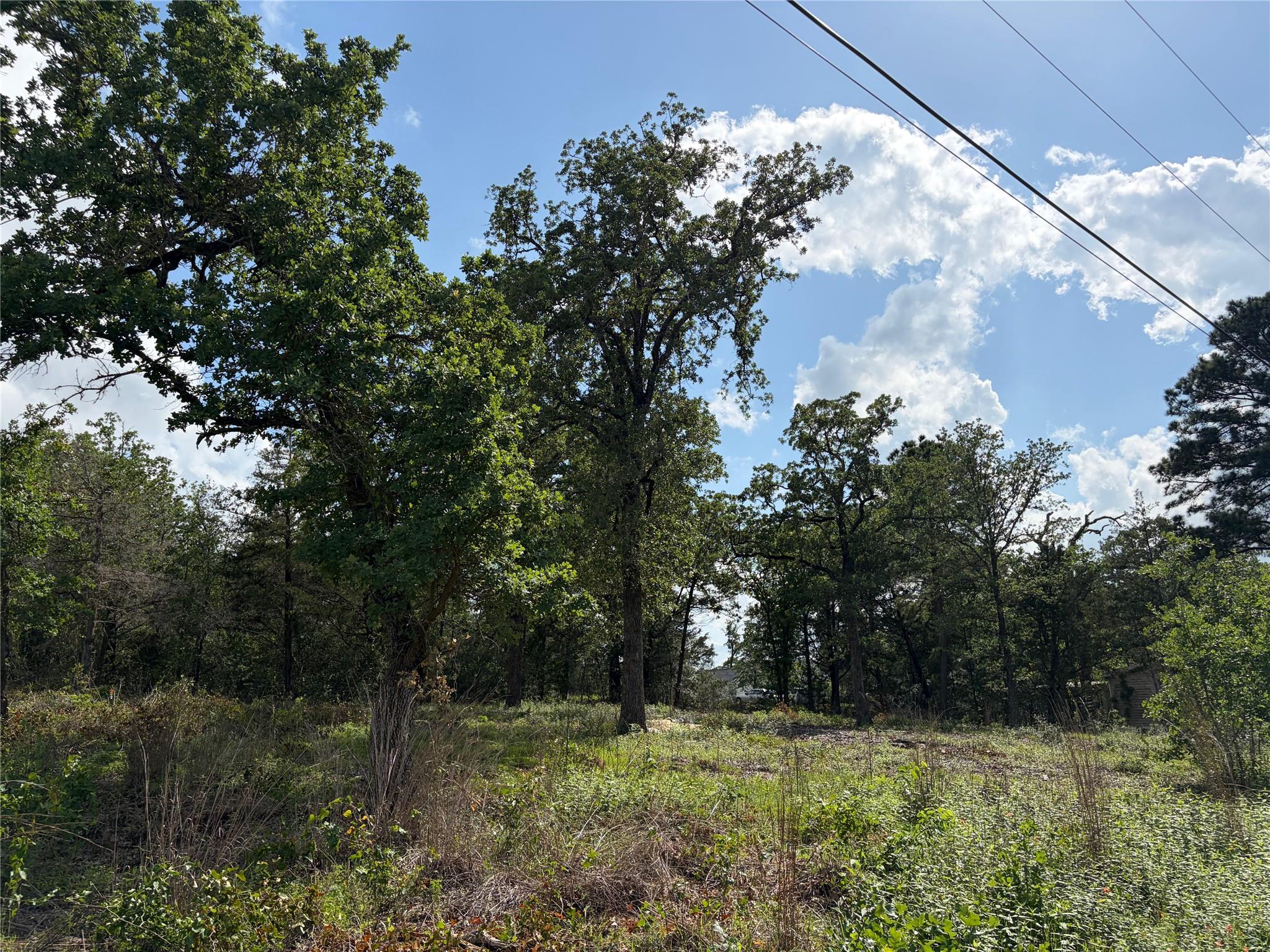 Lots-97/98 Shawnee Dr, Smithville, TX 78957