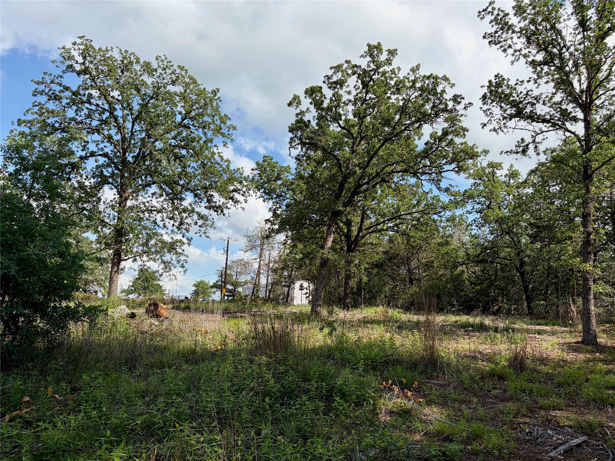 Lots-97/98 Shawnee Dr, Smithville, TX 78957